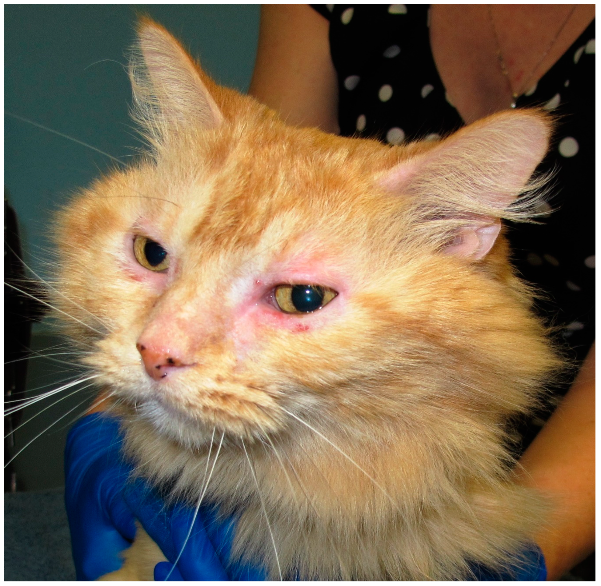 Vetsci 04 00025 g001