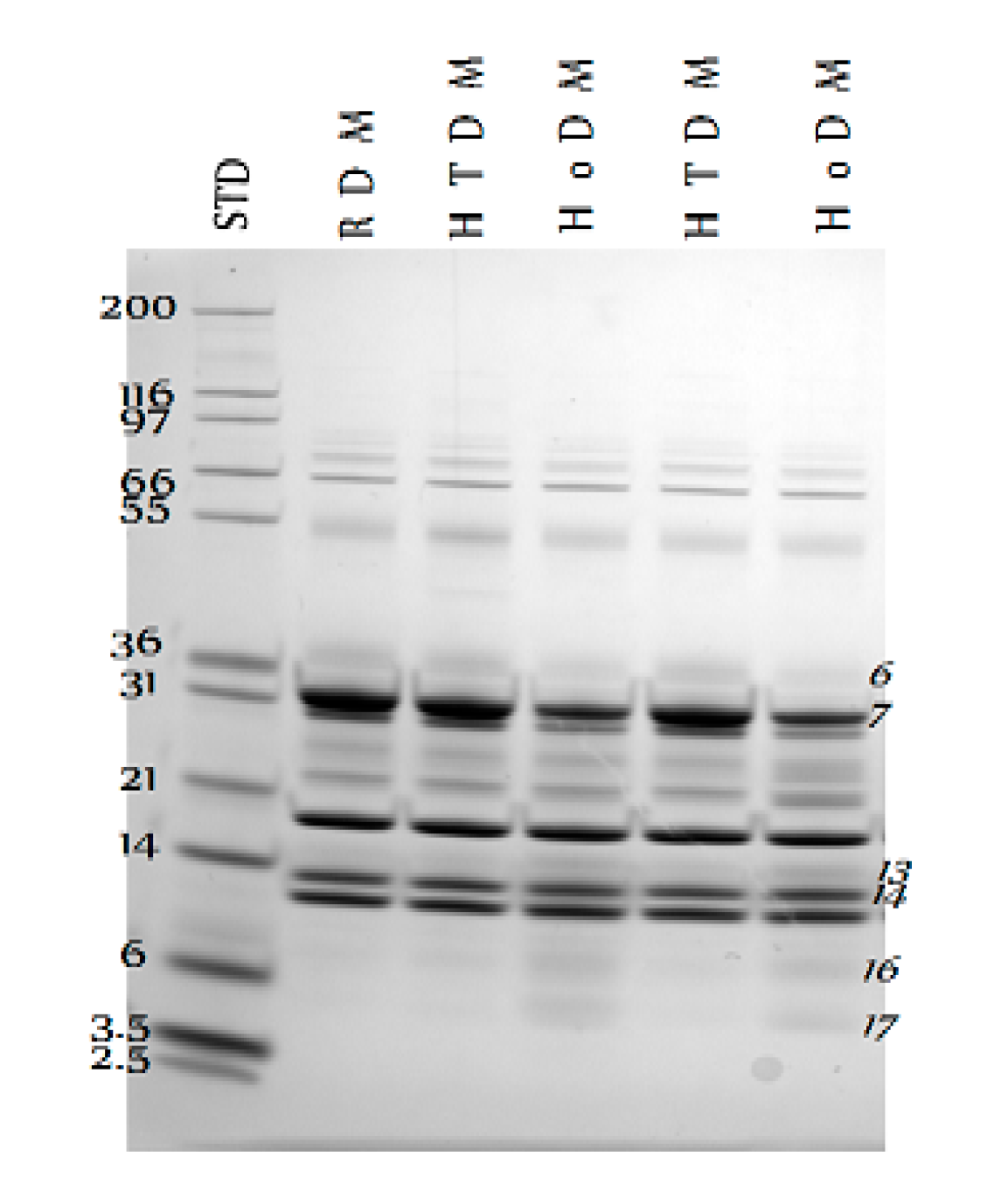 Vetsci 04 00050 g001