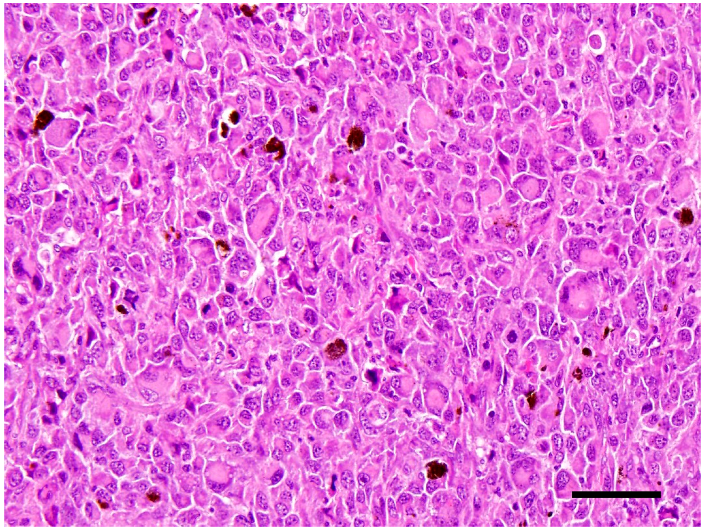 Vetsci 05 00009 g003 Vetsci 05 00009 g003
