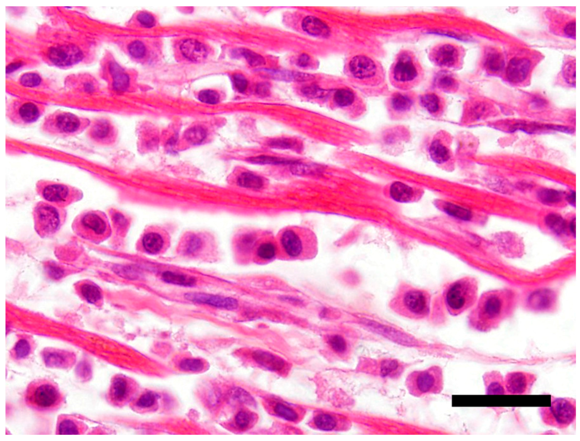 Vetsci 05 00010 g002