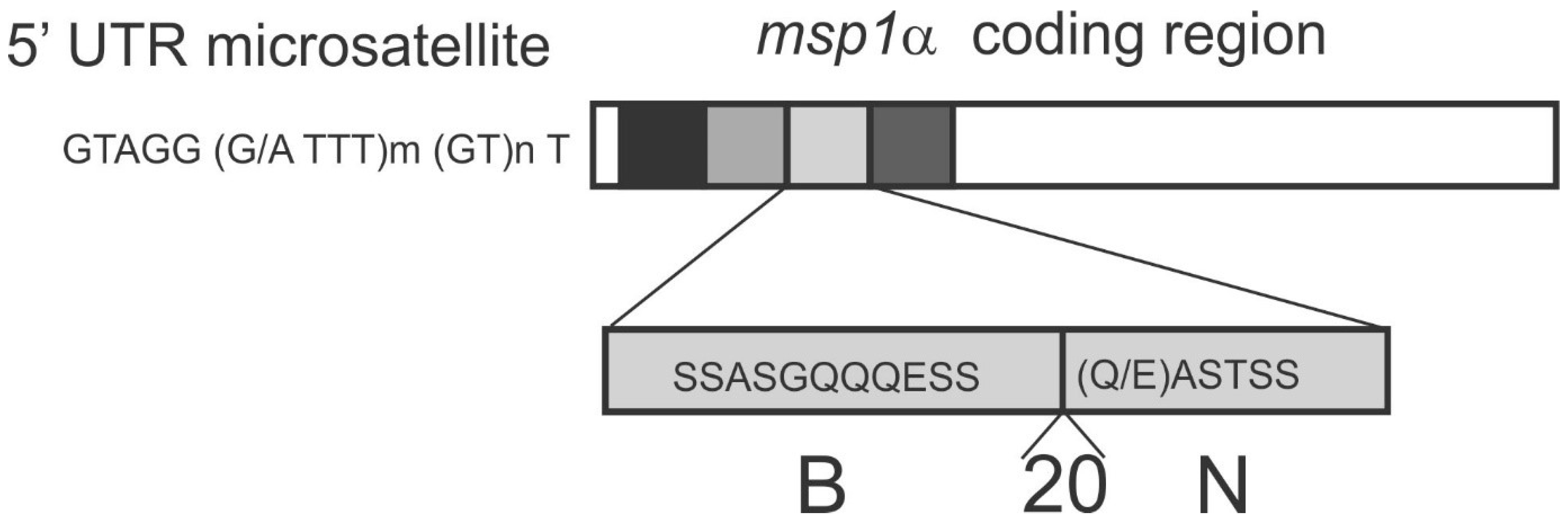 Vetsci 05 00026 g002