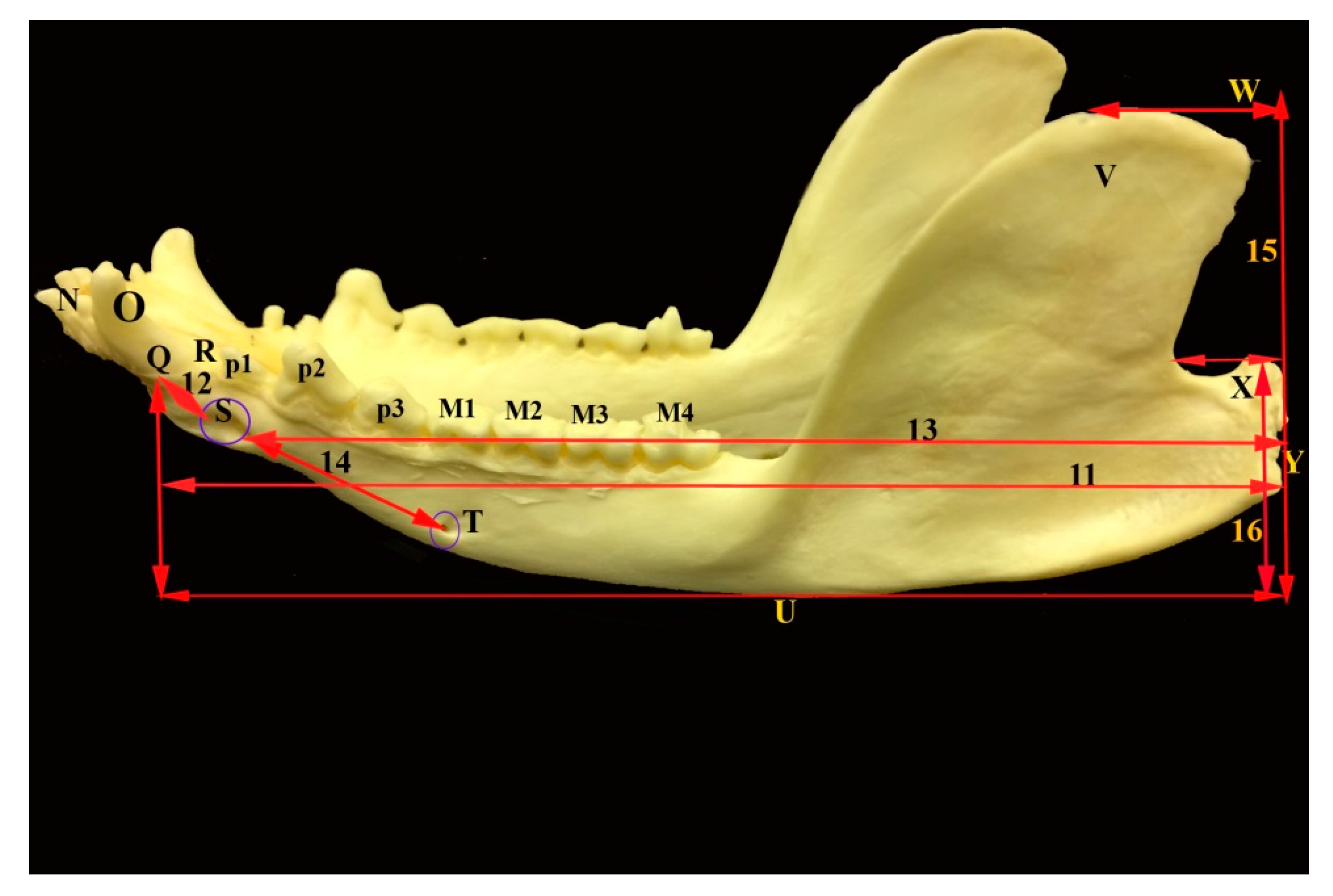 Vetsci 05 00029 g005