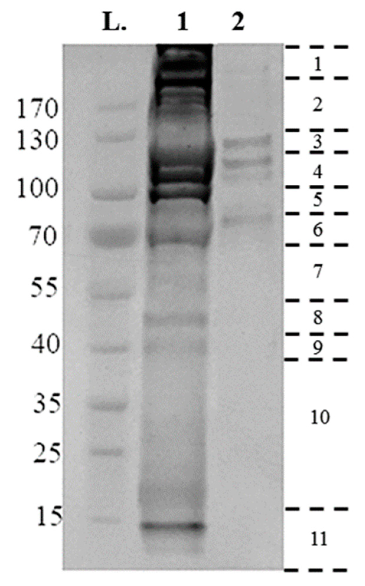 Vetsci 05 00030 g002