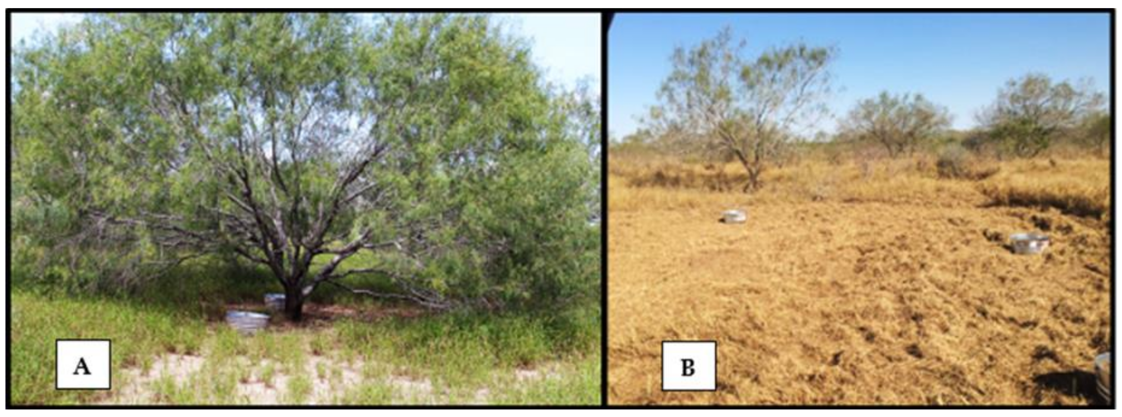 Vetsci 05 00033 g003