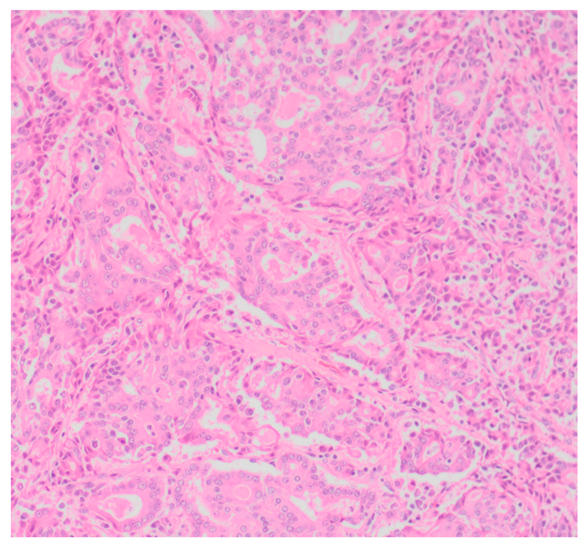 Vetsci 05 00046 g001