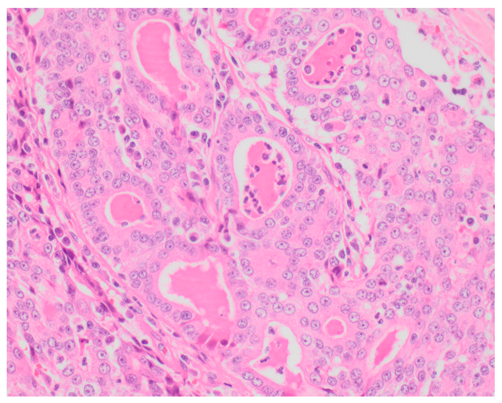 Vetsci 05 00046 g002