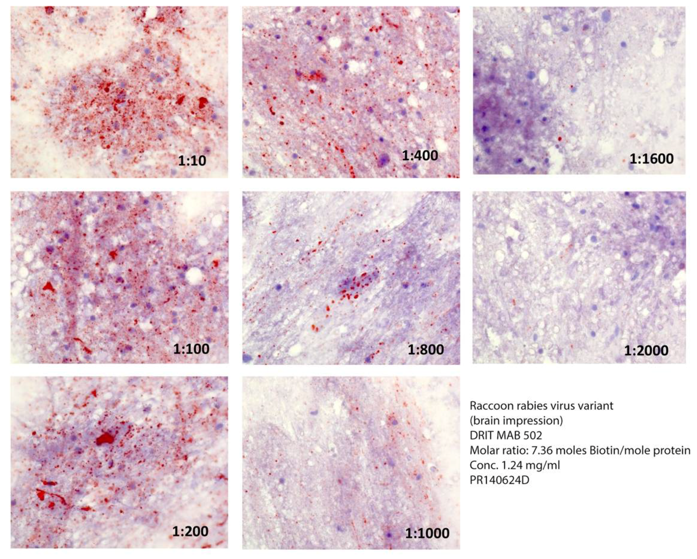 Vetsci 05 00059 g001
