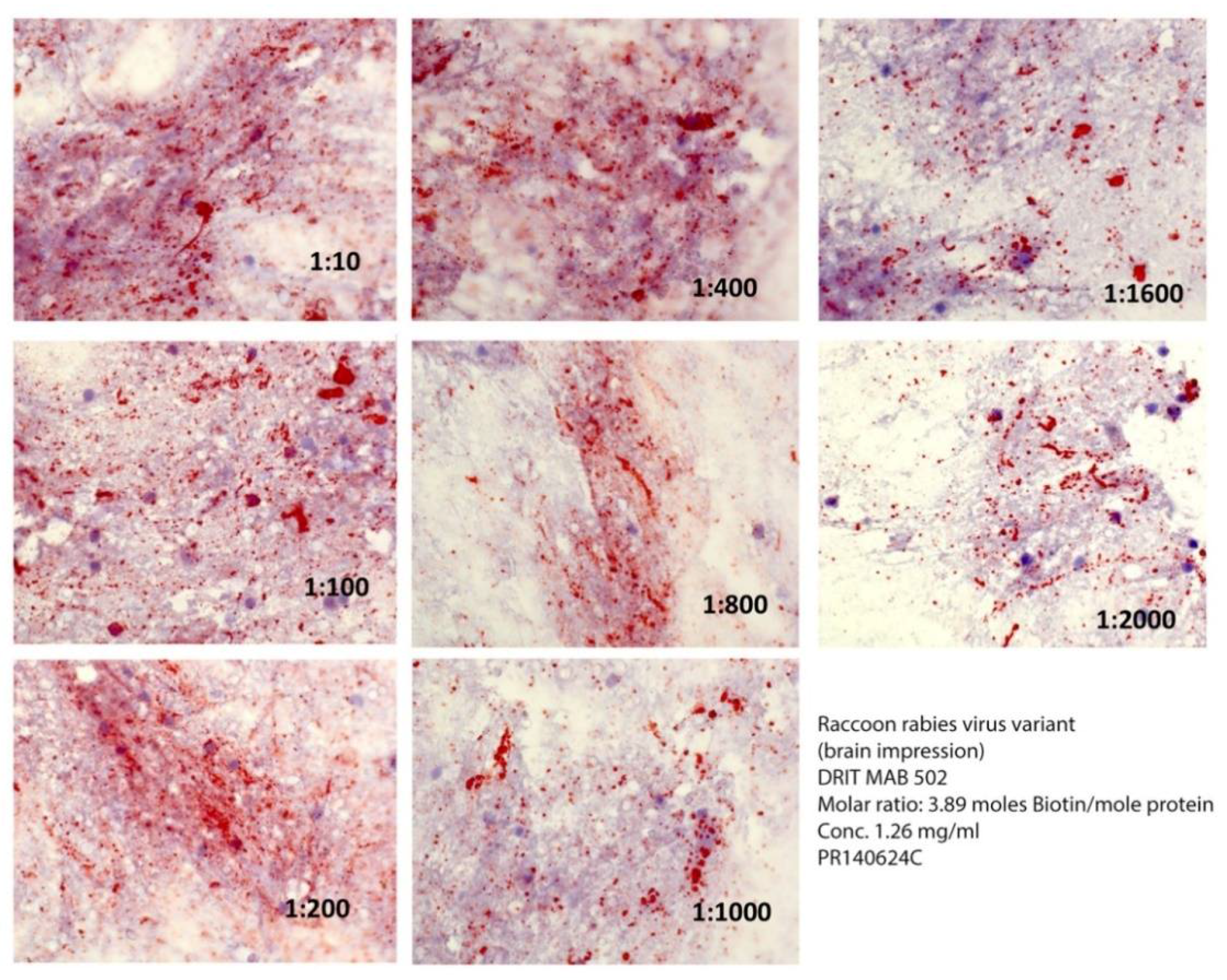Vetsci 05 00059 g002
