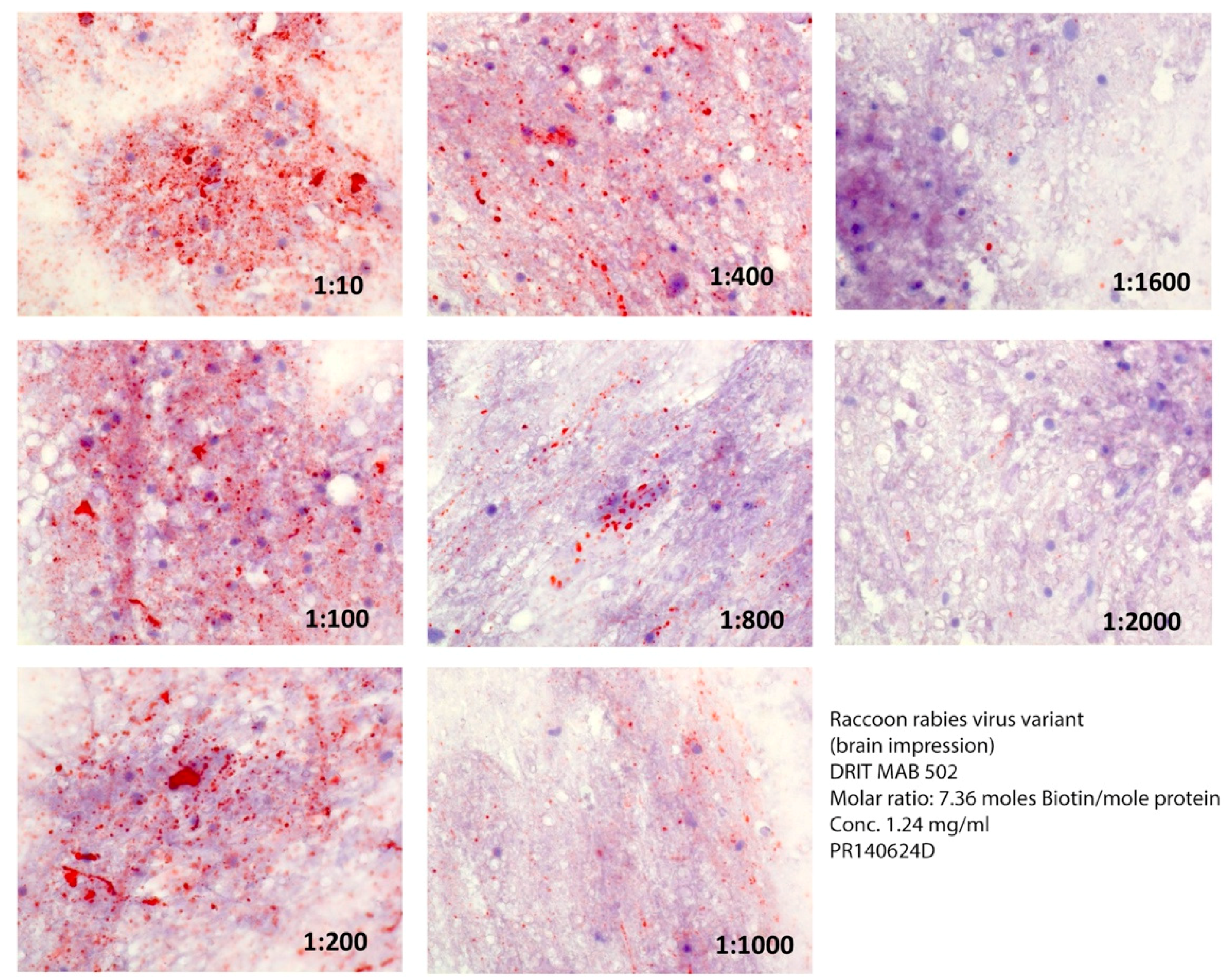 Vetsci 05 00068 g001