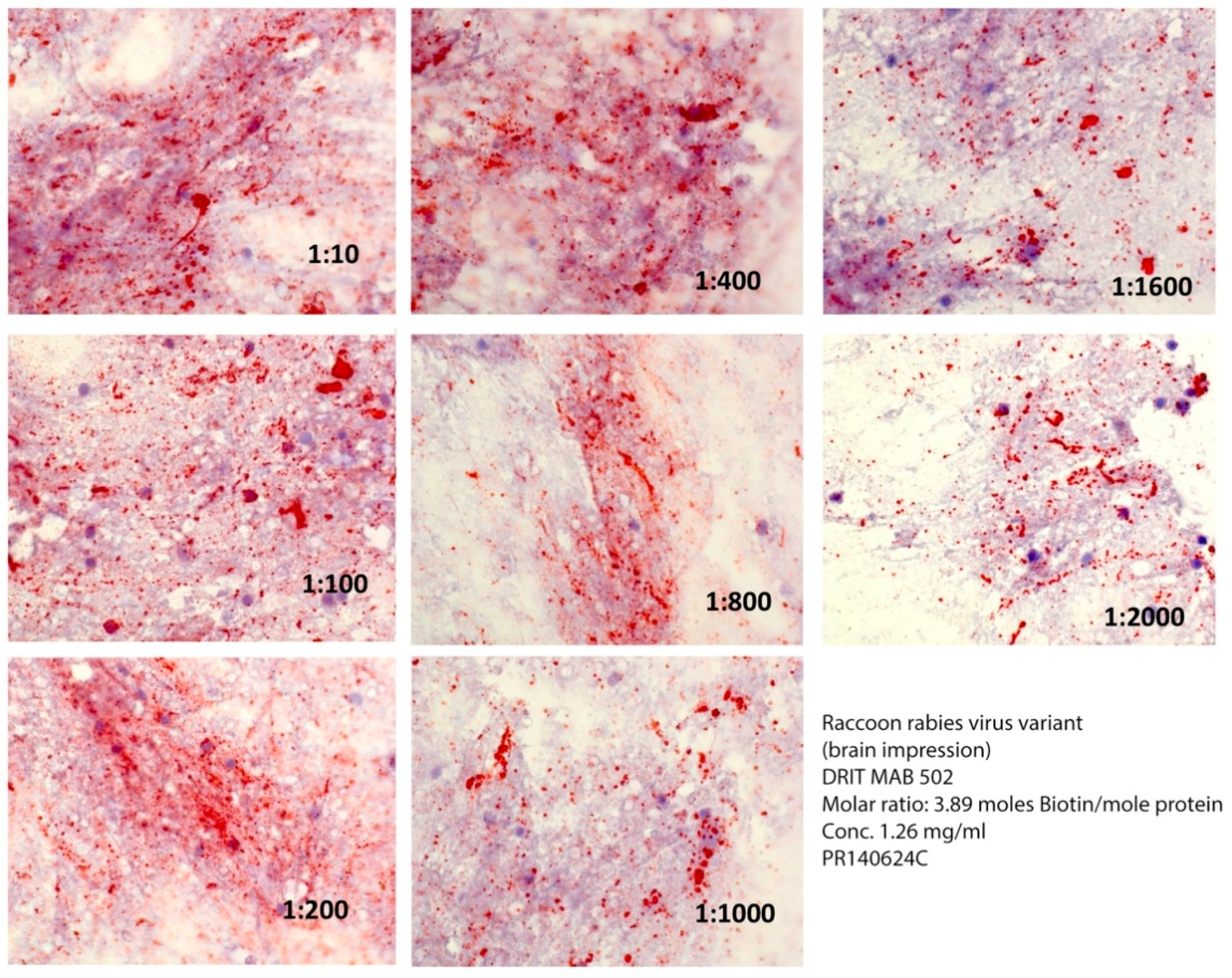 Vetsci 05 00068 g002