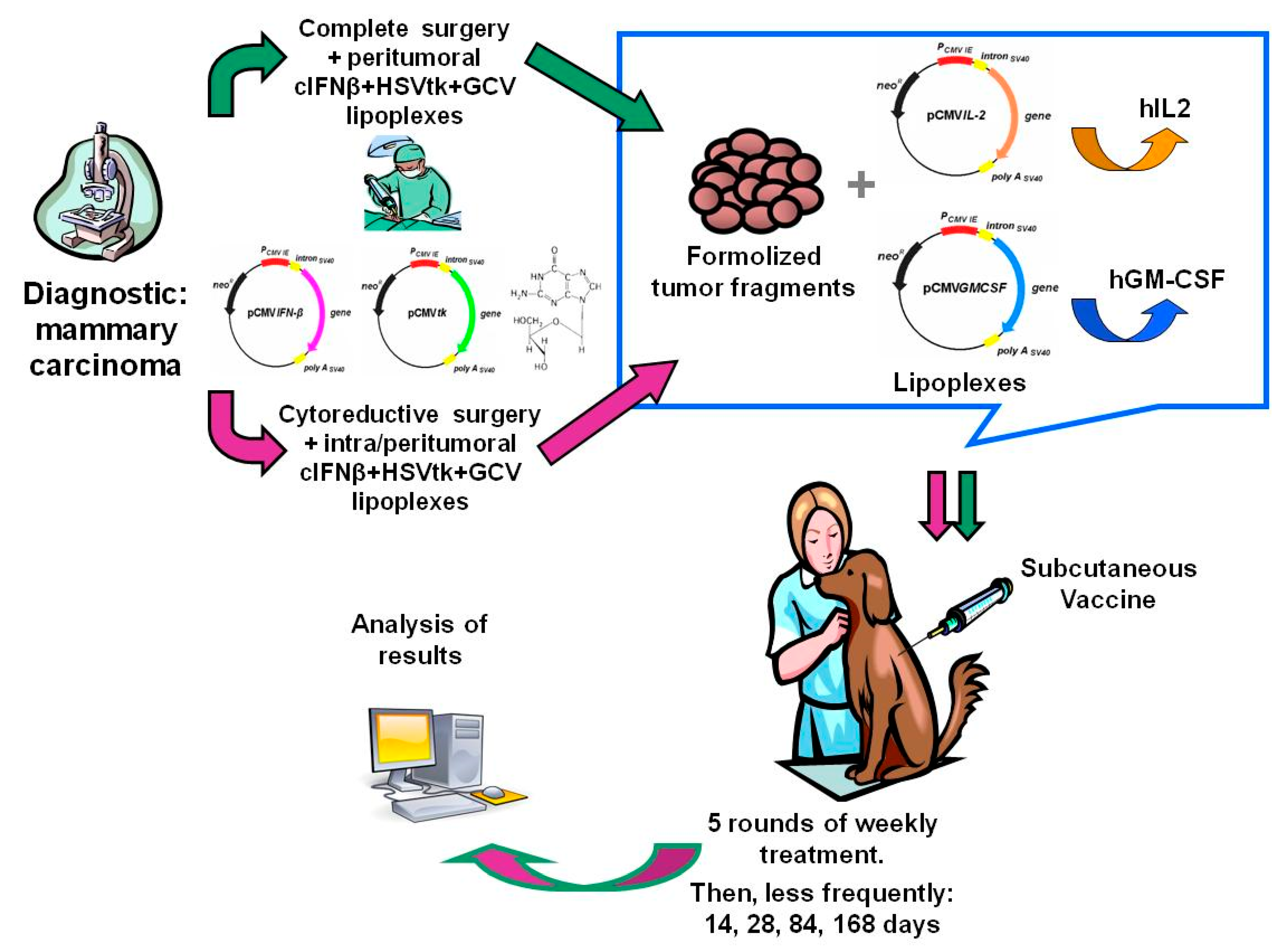 Vetsci 05 00070 g001