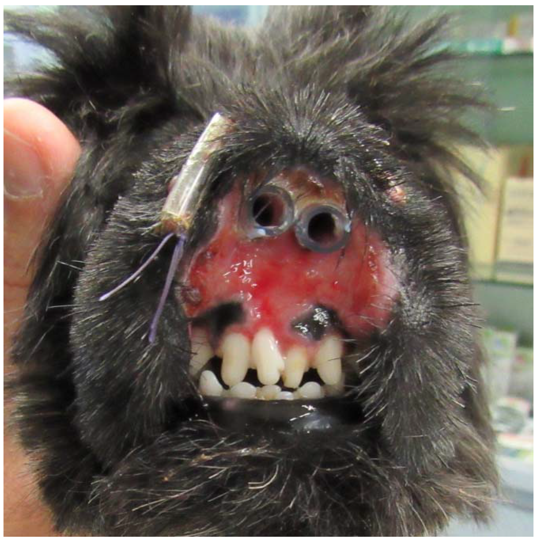 Vetsci 05 00073 g002