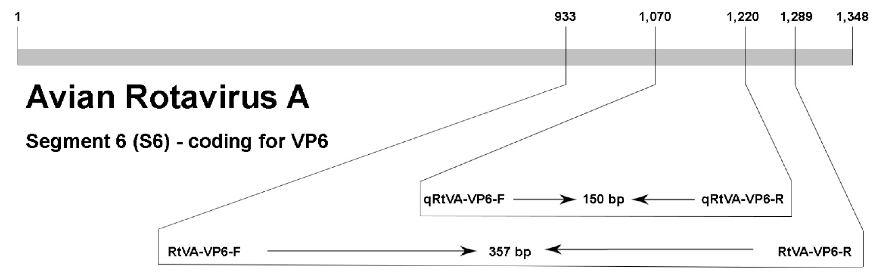 Vetsci 06 00002 g001