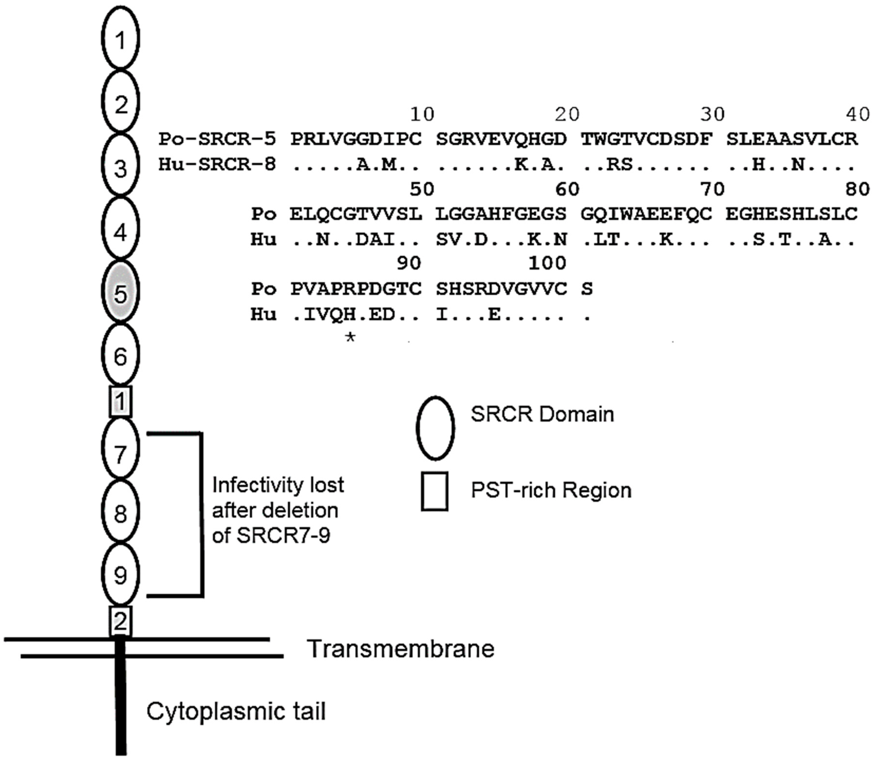 Vetsci 06 00009 g002 Vetsci 06 00009 g002
