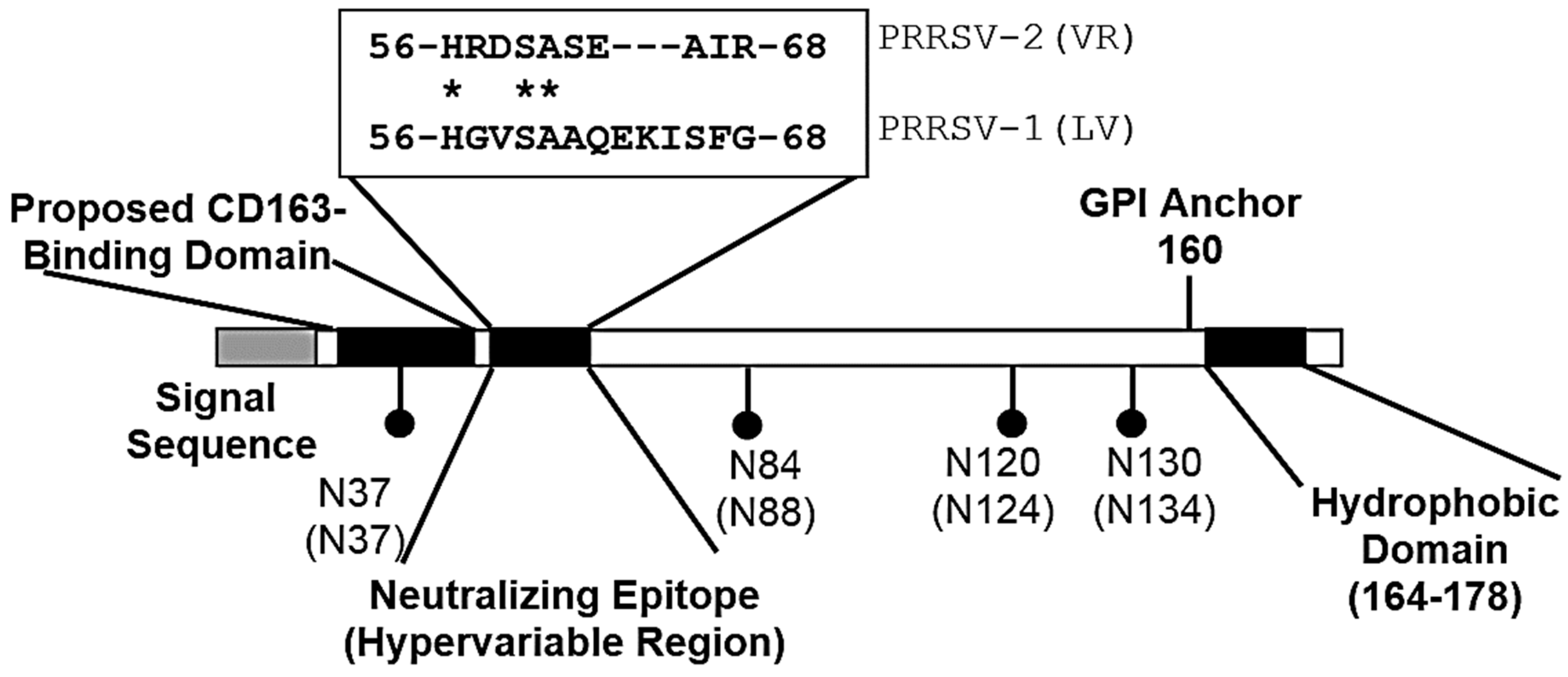 Vetsci 06 00009 g003 Vetsci 06 00009 g003