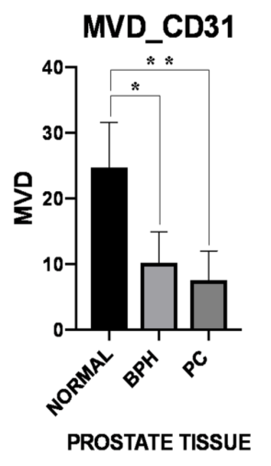 Vetsci 06 00016 g003 Vetsci 06 00016 g003