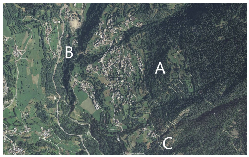 Vetsci 06 00028 g001 Vetsci 06 00028 g001