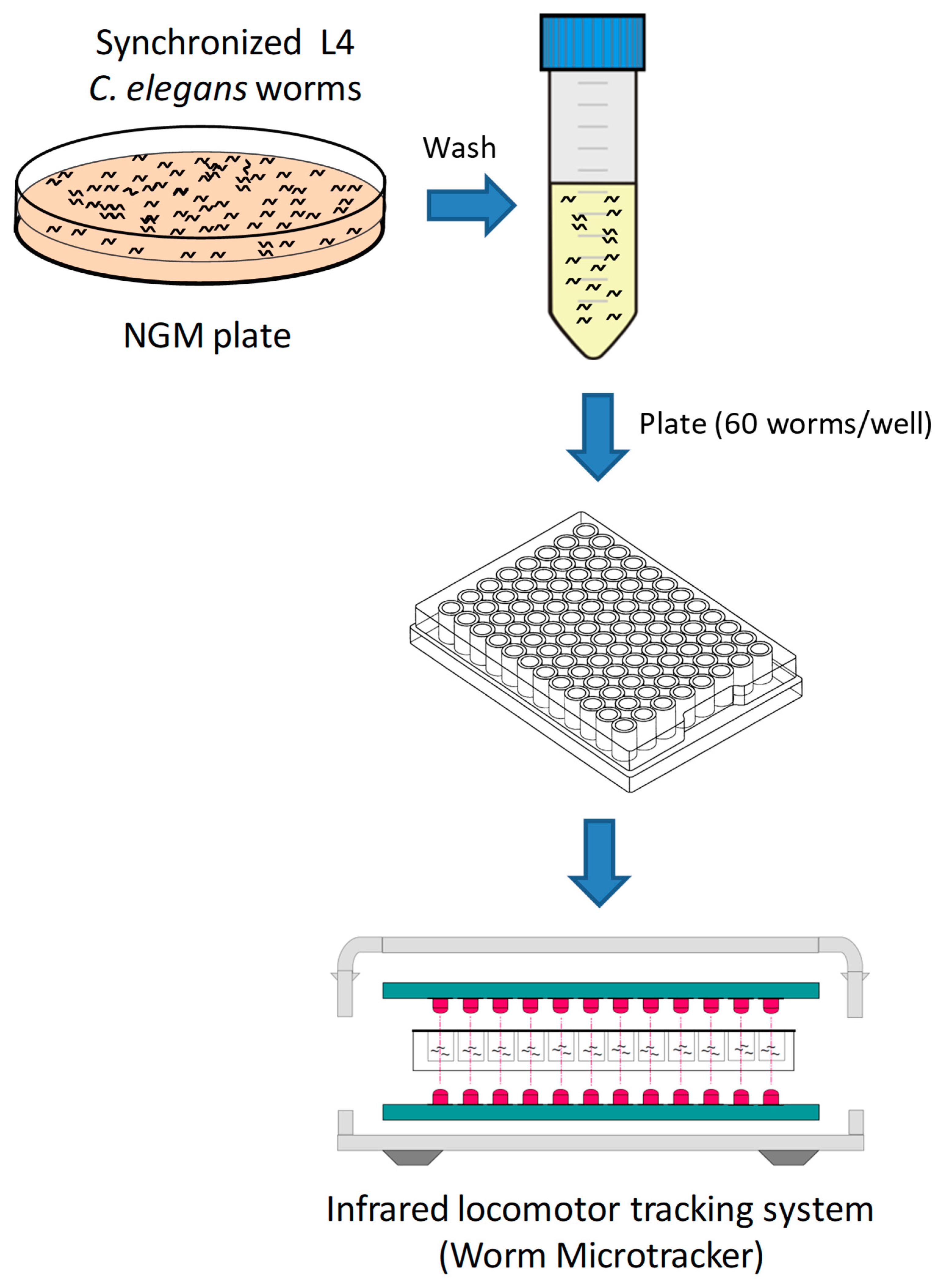Vetsci 06 00029 g002