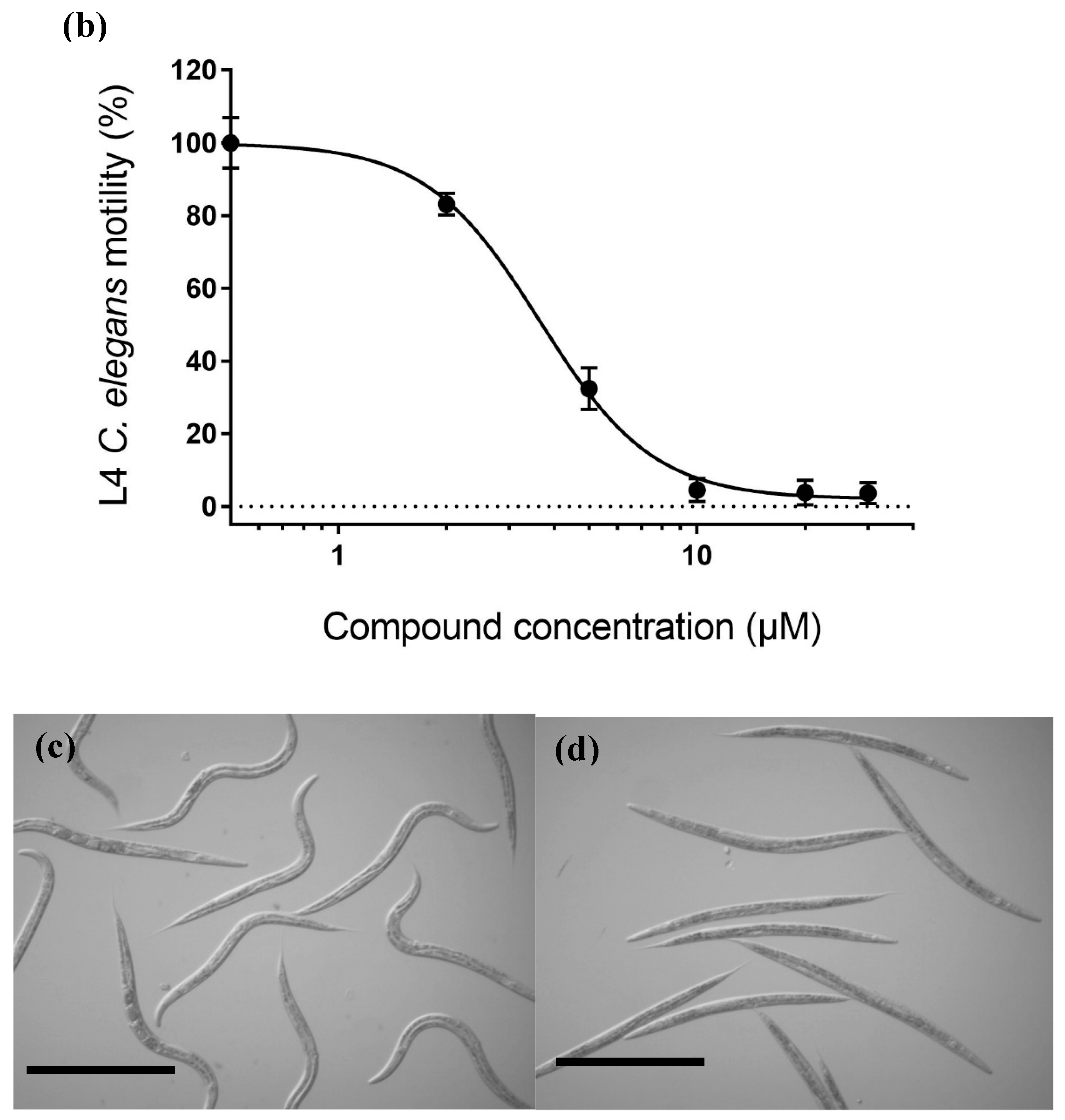 Vetsci 06 00029 g004b