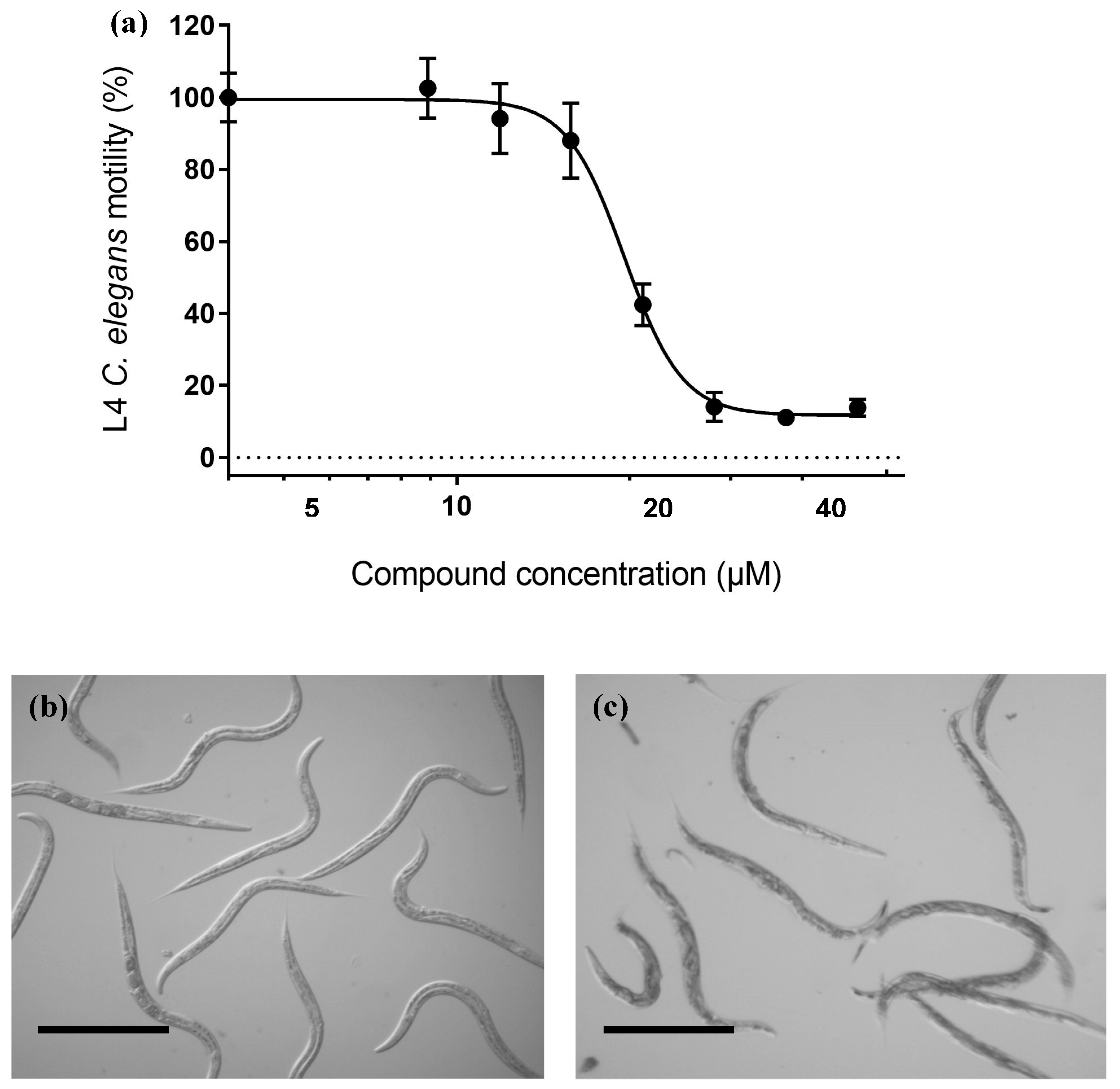 Vetsci 06 00029 g006