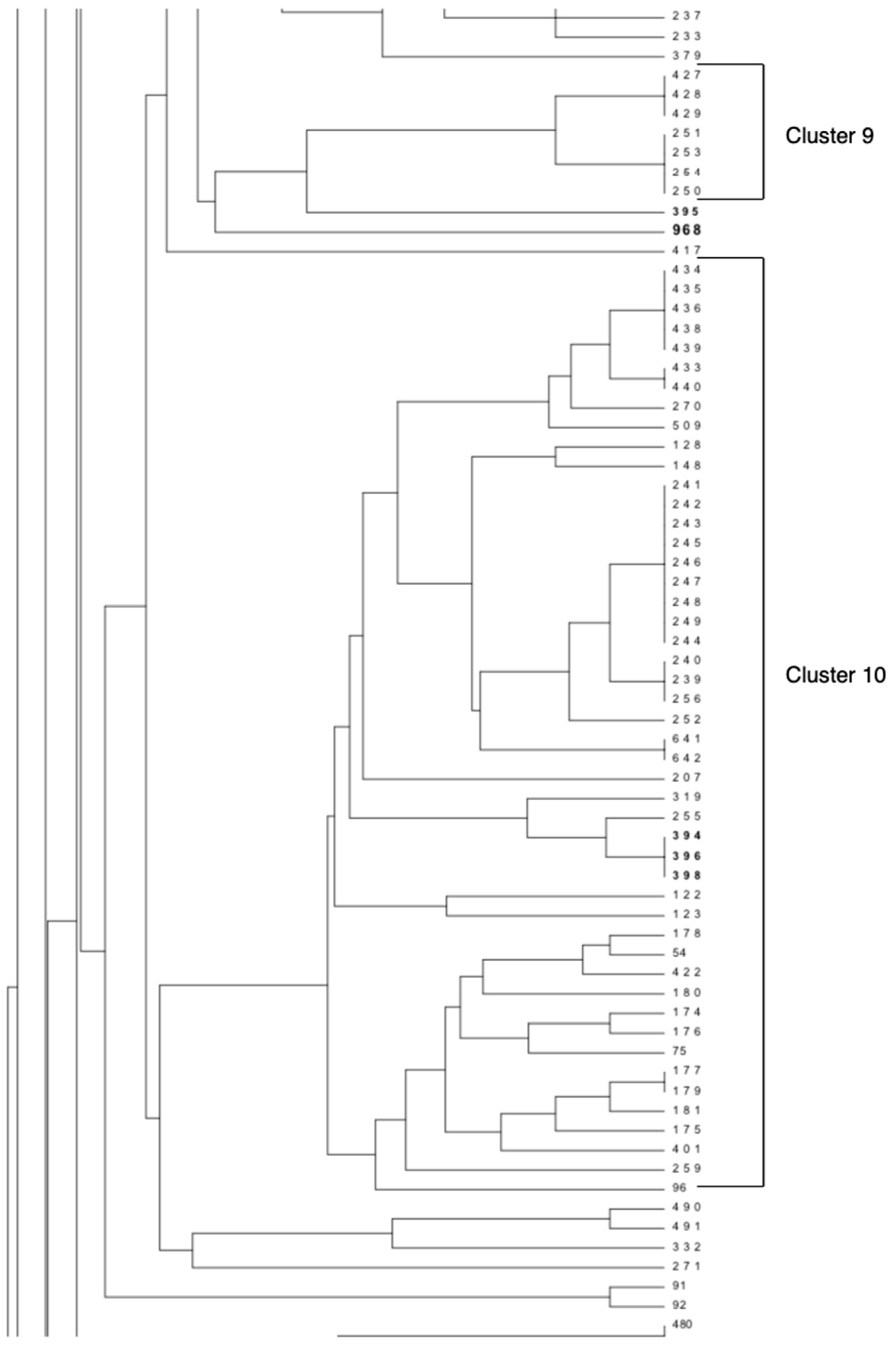 Vetsci 06 00043 g001