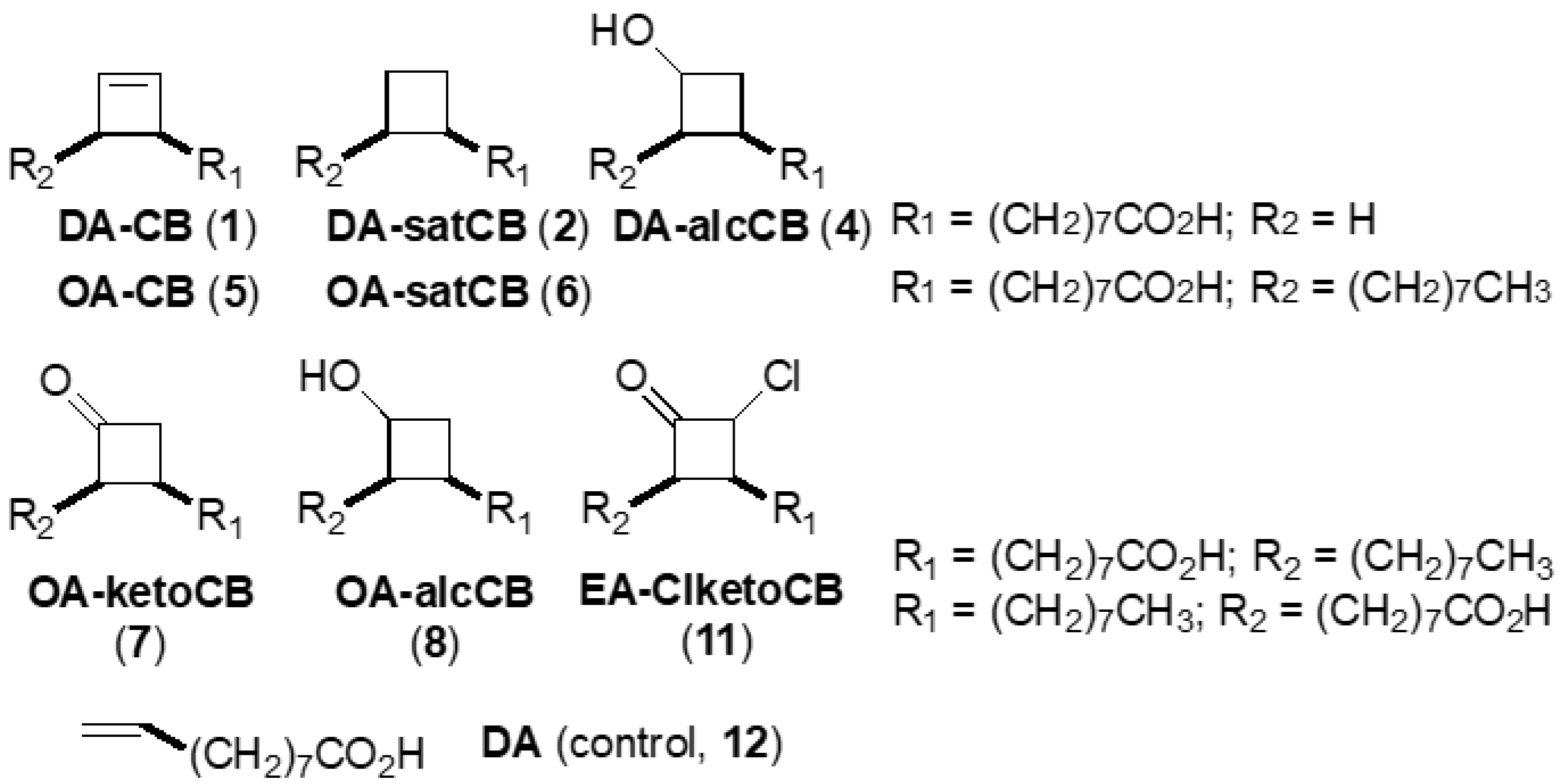Vetsci 06 00046 g001