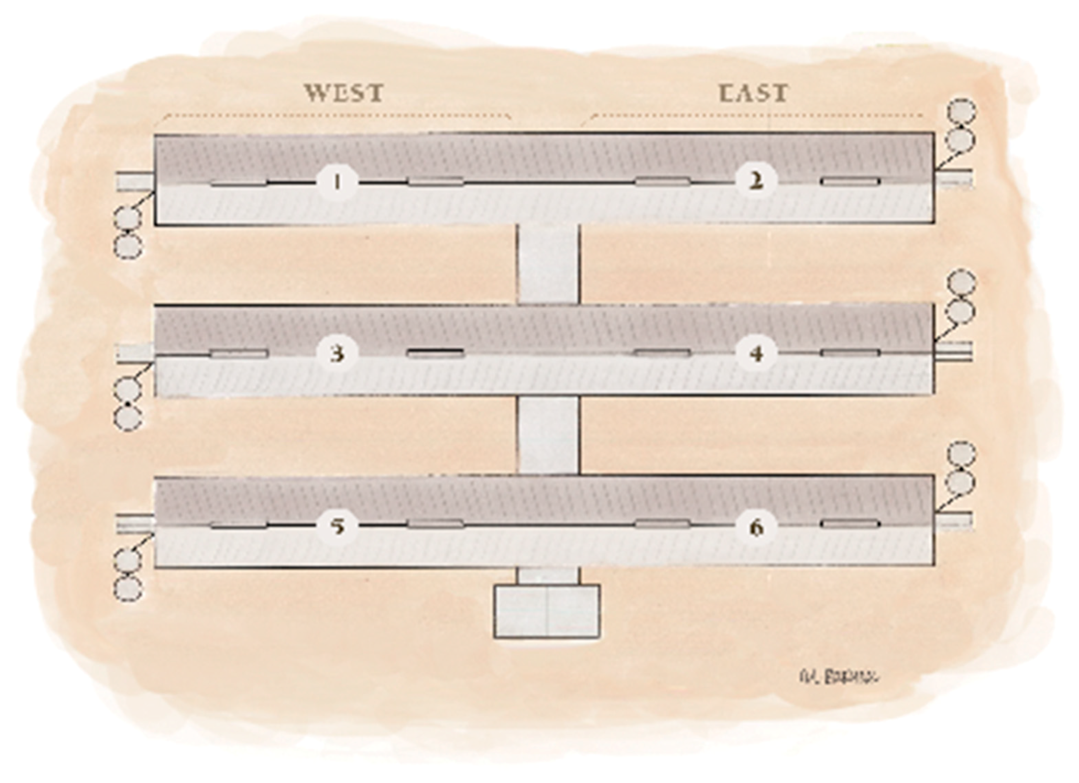 Vetsci 06 00049 g002