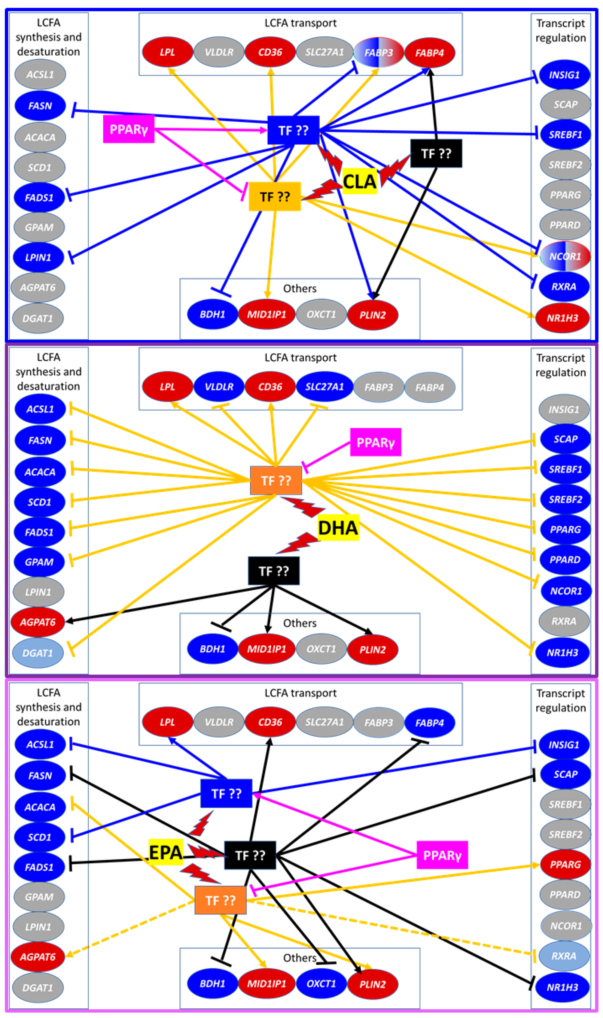 Vetsci 06 00054 g006