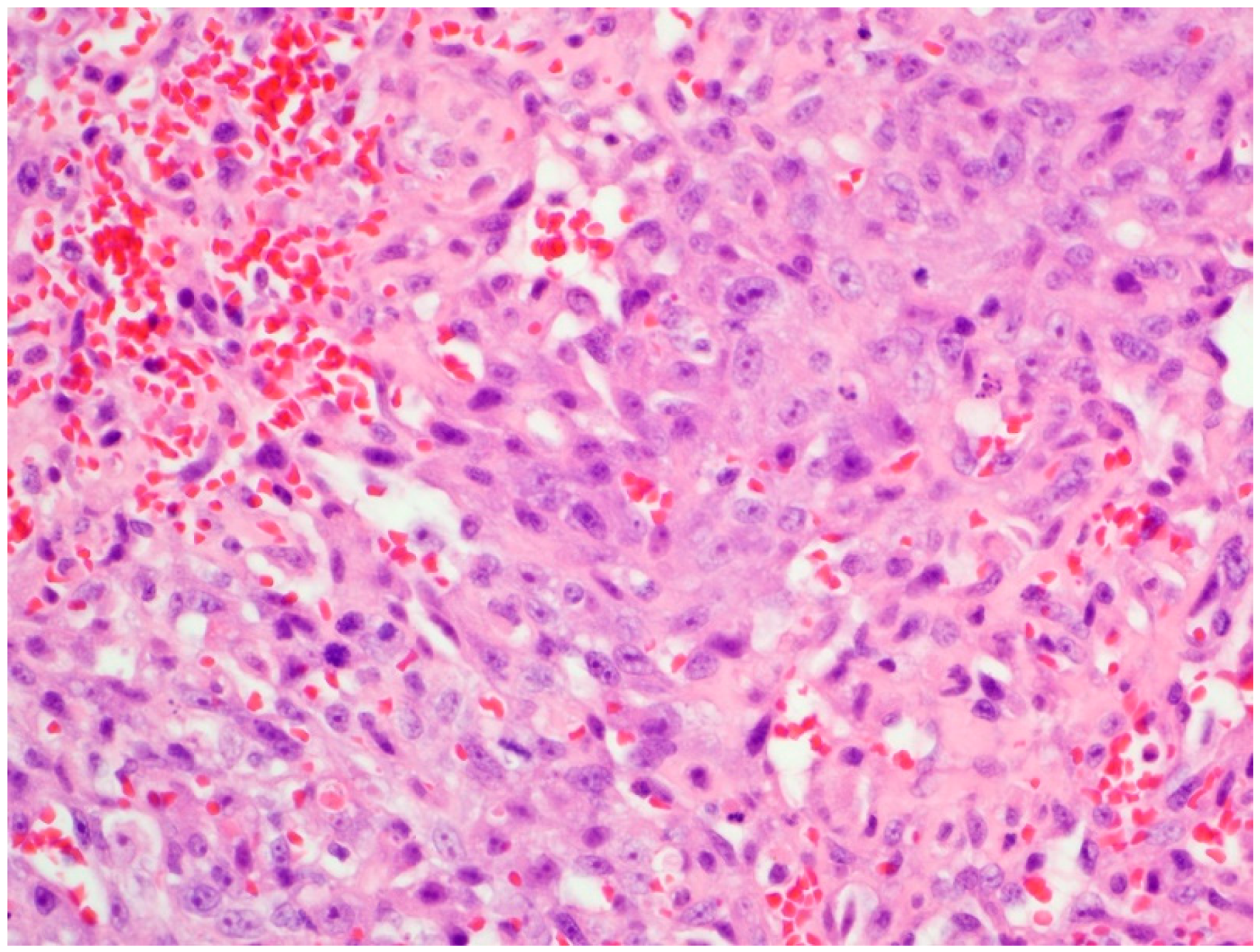 Vetsci 06 00065 g001