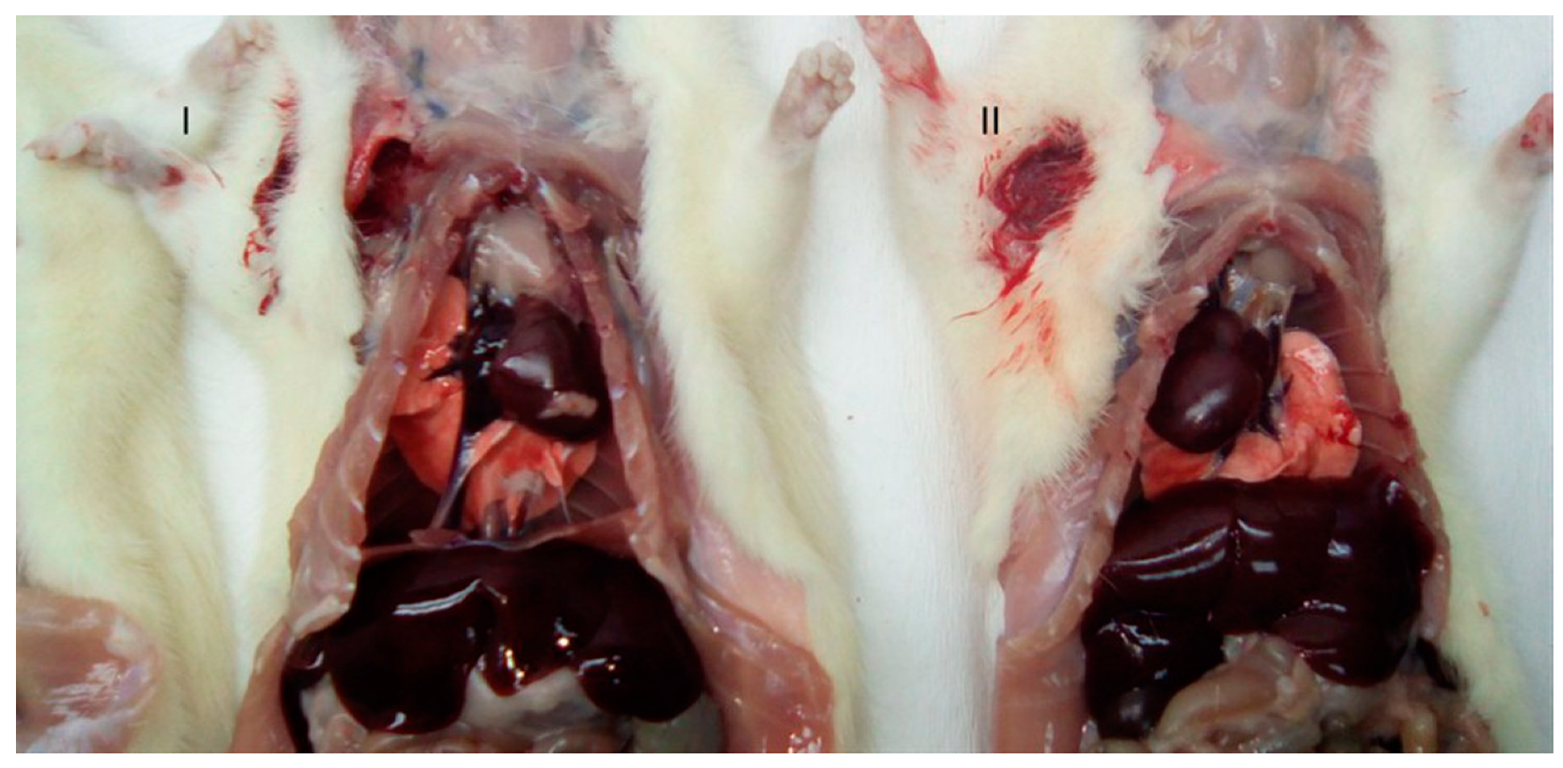 Vetsci 06 00067 g003
