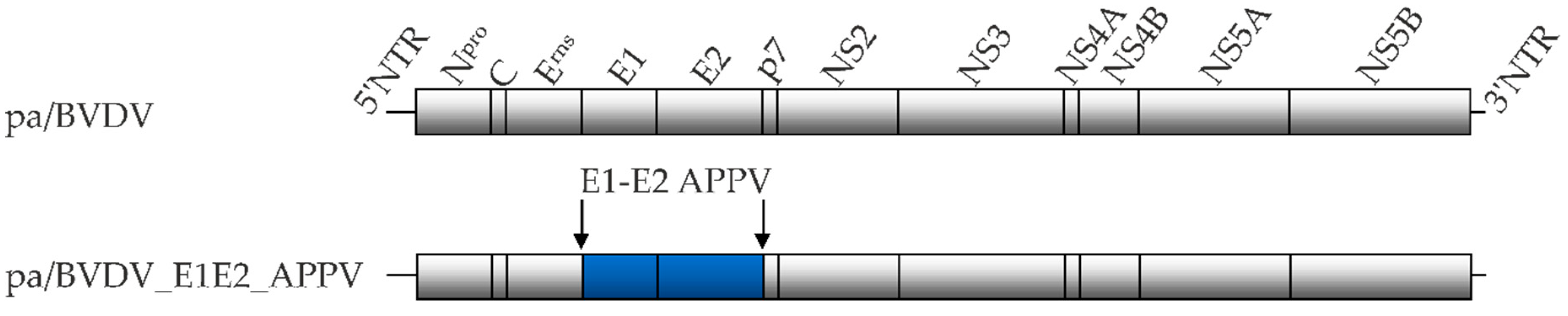 Vetsci 06 00086 g001