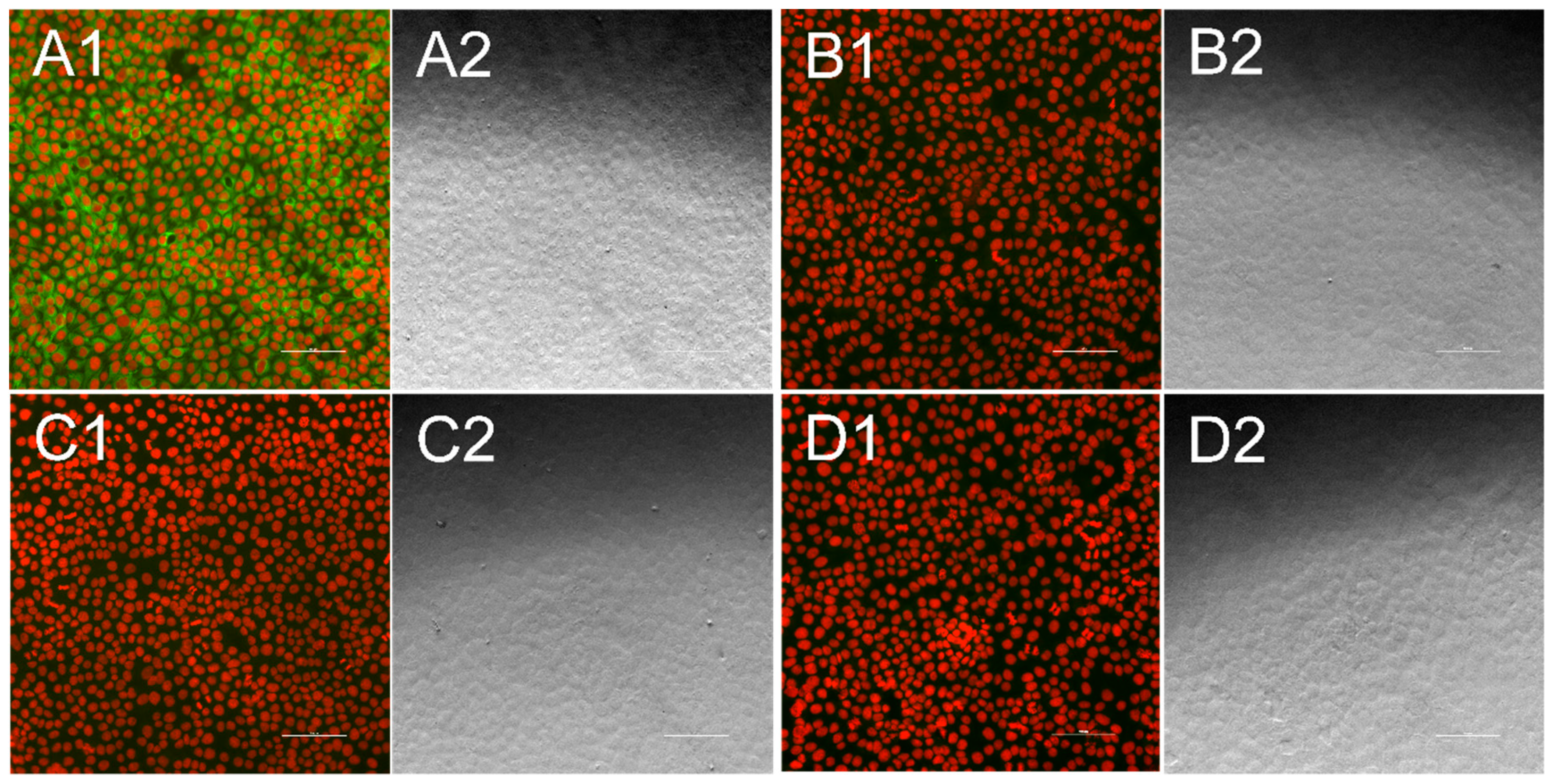 Vetsci 06 00086 g002