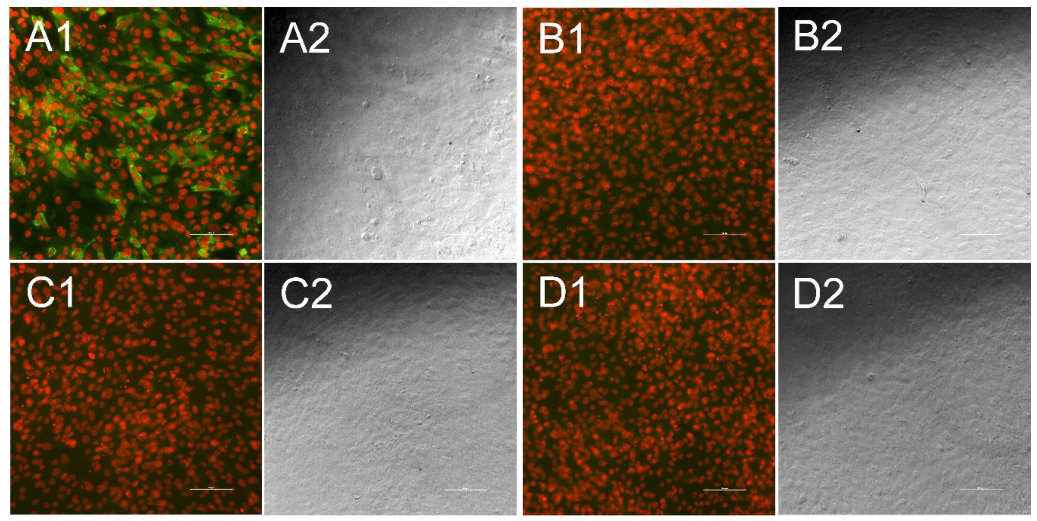 Vetsci 06 00086 g003