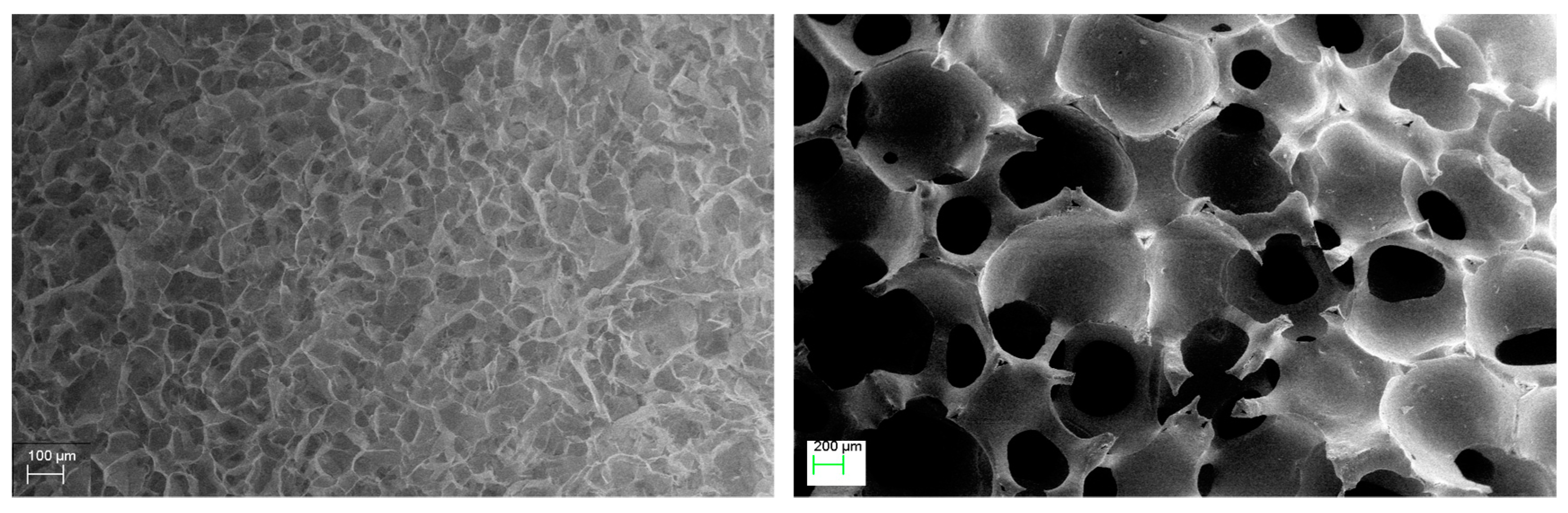 Vetsci 06 00090 g003