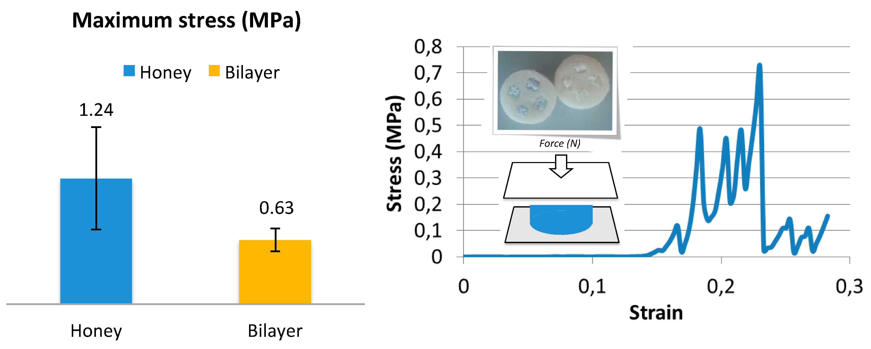 Vetsci 06 00090 g005