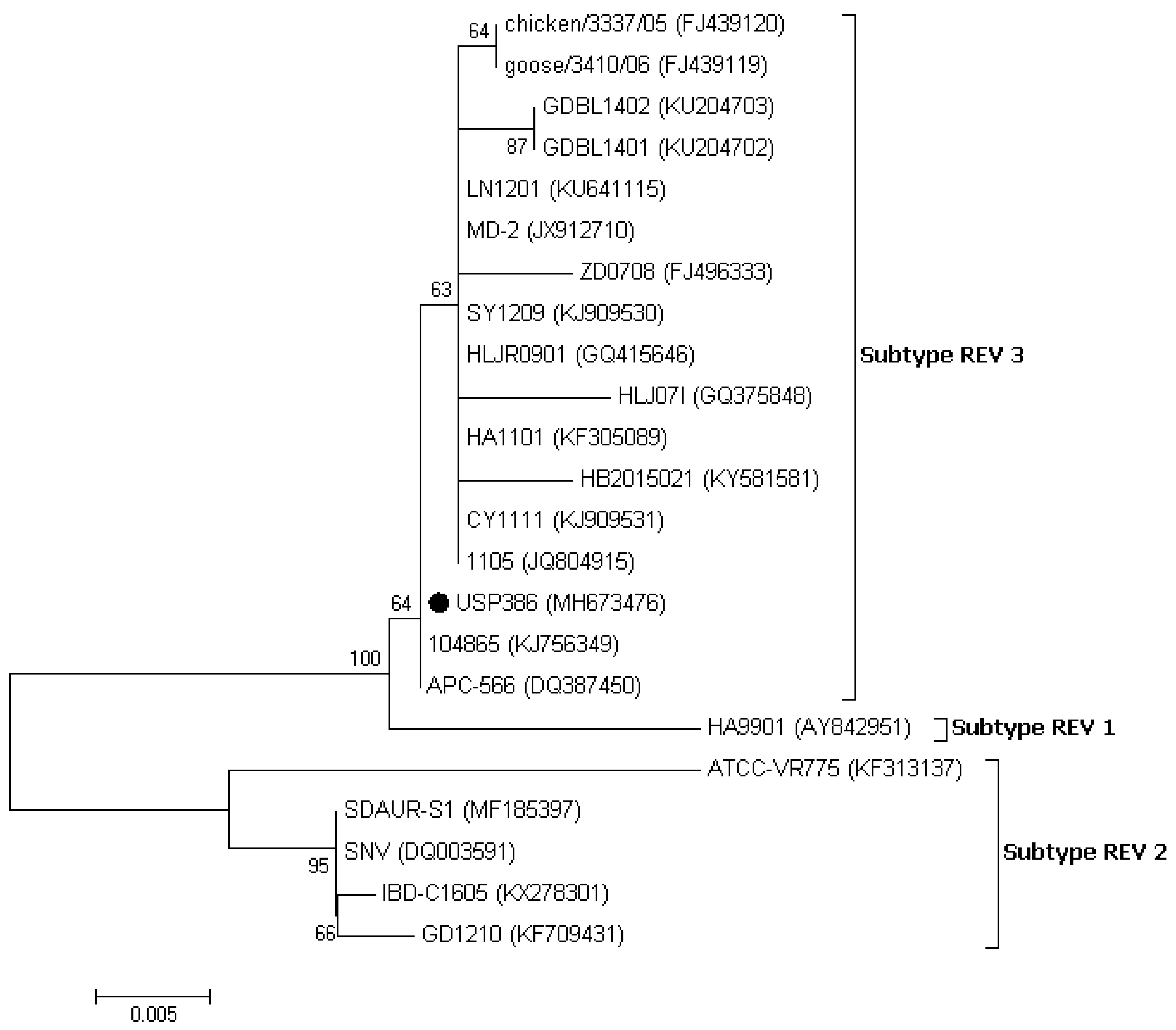 Vetsci 06 00092 g005