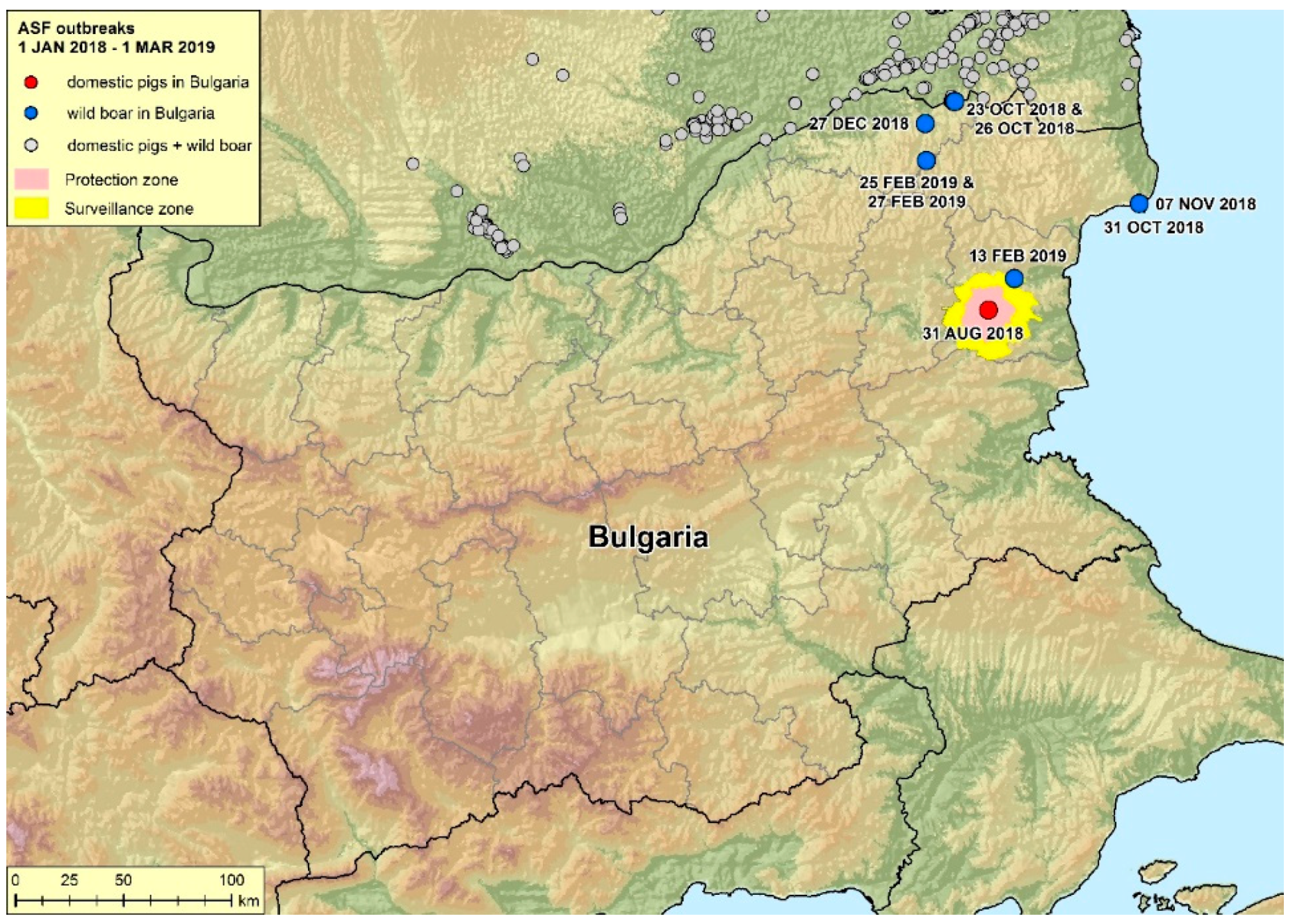 Vetsci 06 00094 g001