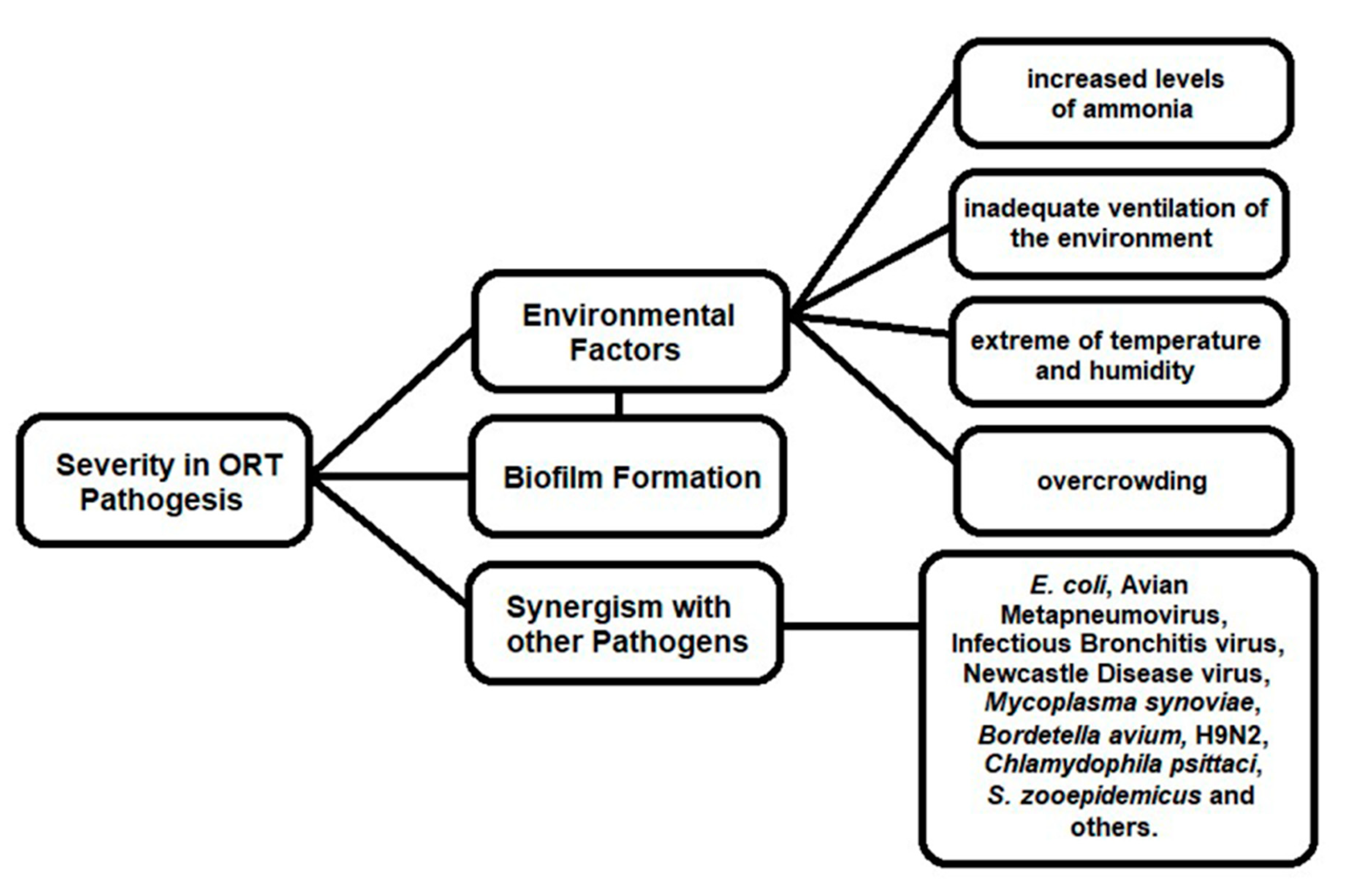 Vetsci 07 00003 g001