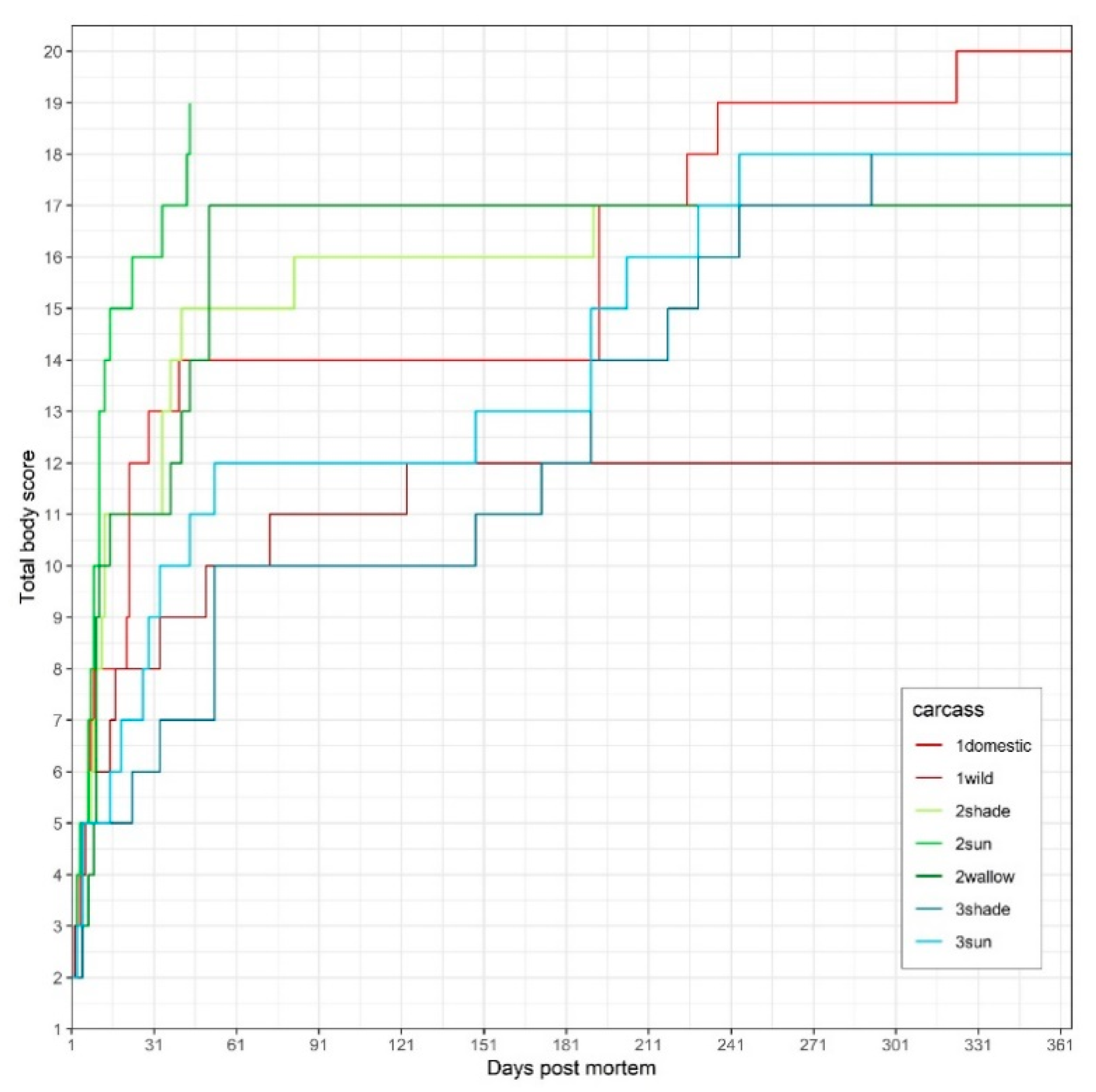 Vetsci 07 00006 g001