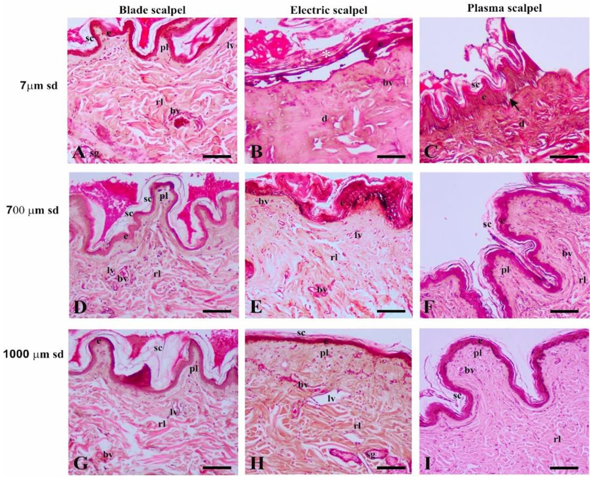 Vetsci 07 00008 g003 Vetsci 07 00008 g003