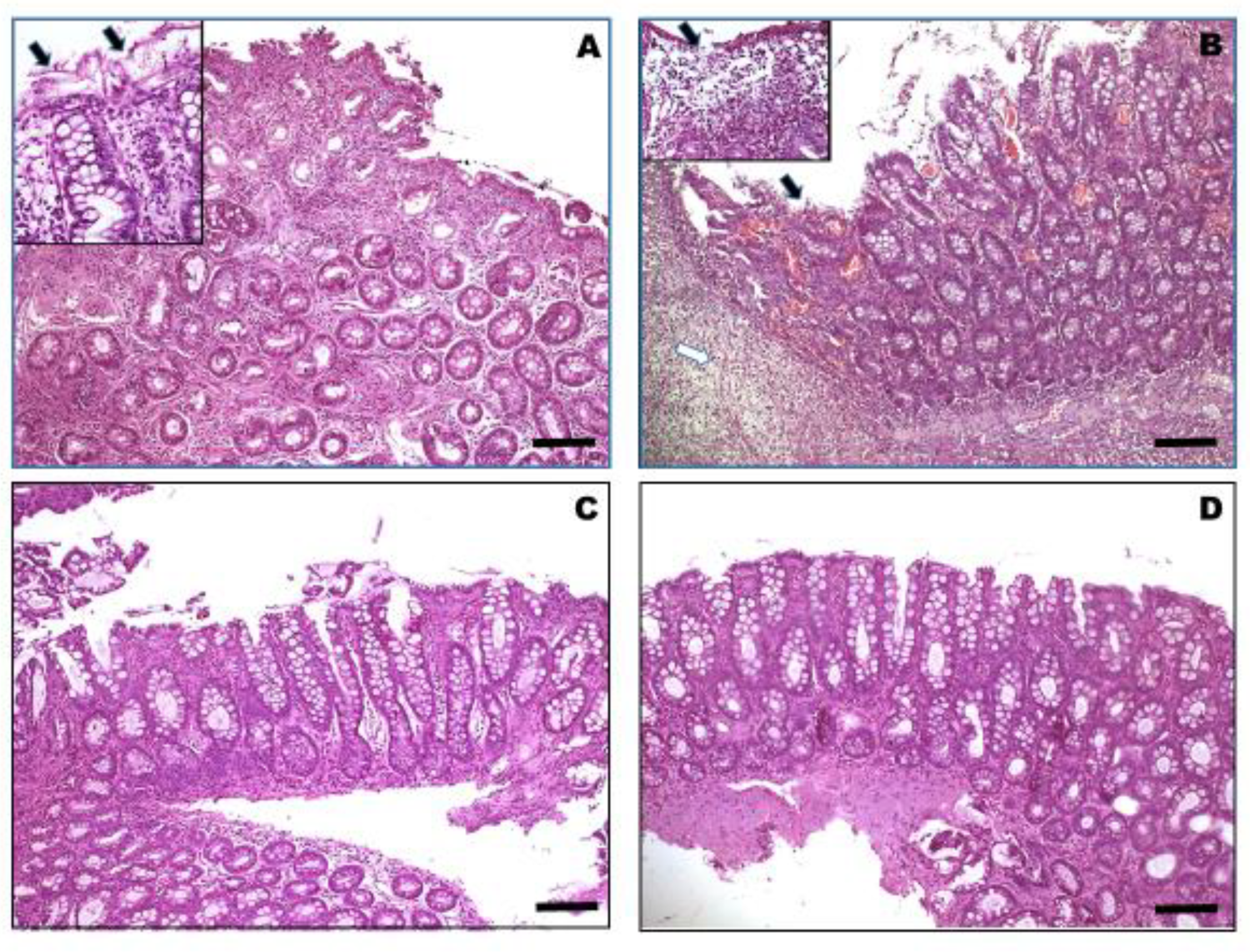 Vetsci 07 00021 g001