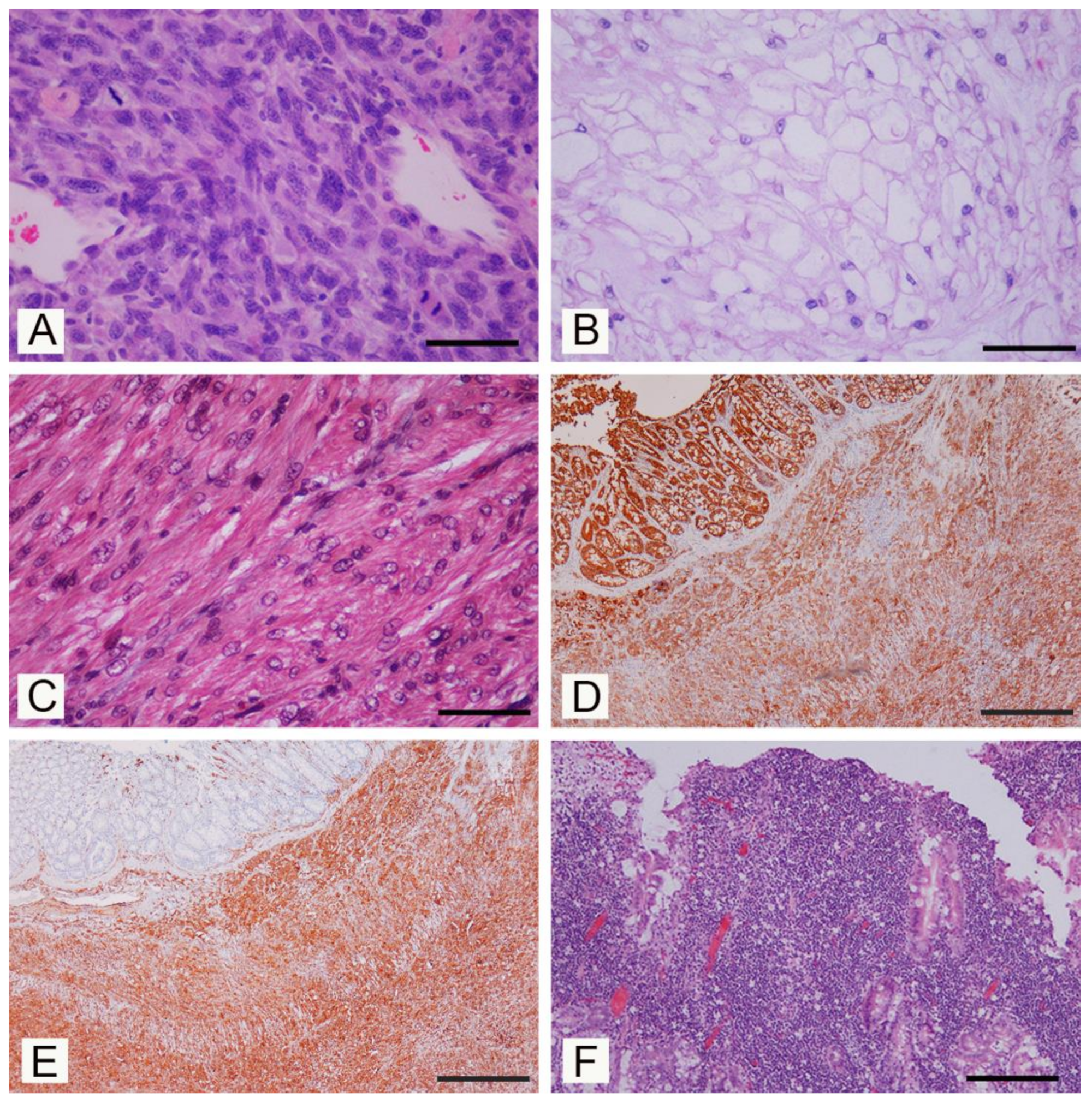 Vetsci 07 00032 g002 Vetsci 07 00032 g002