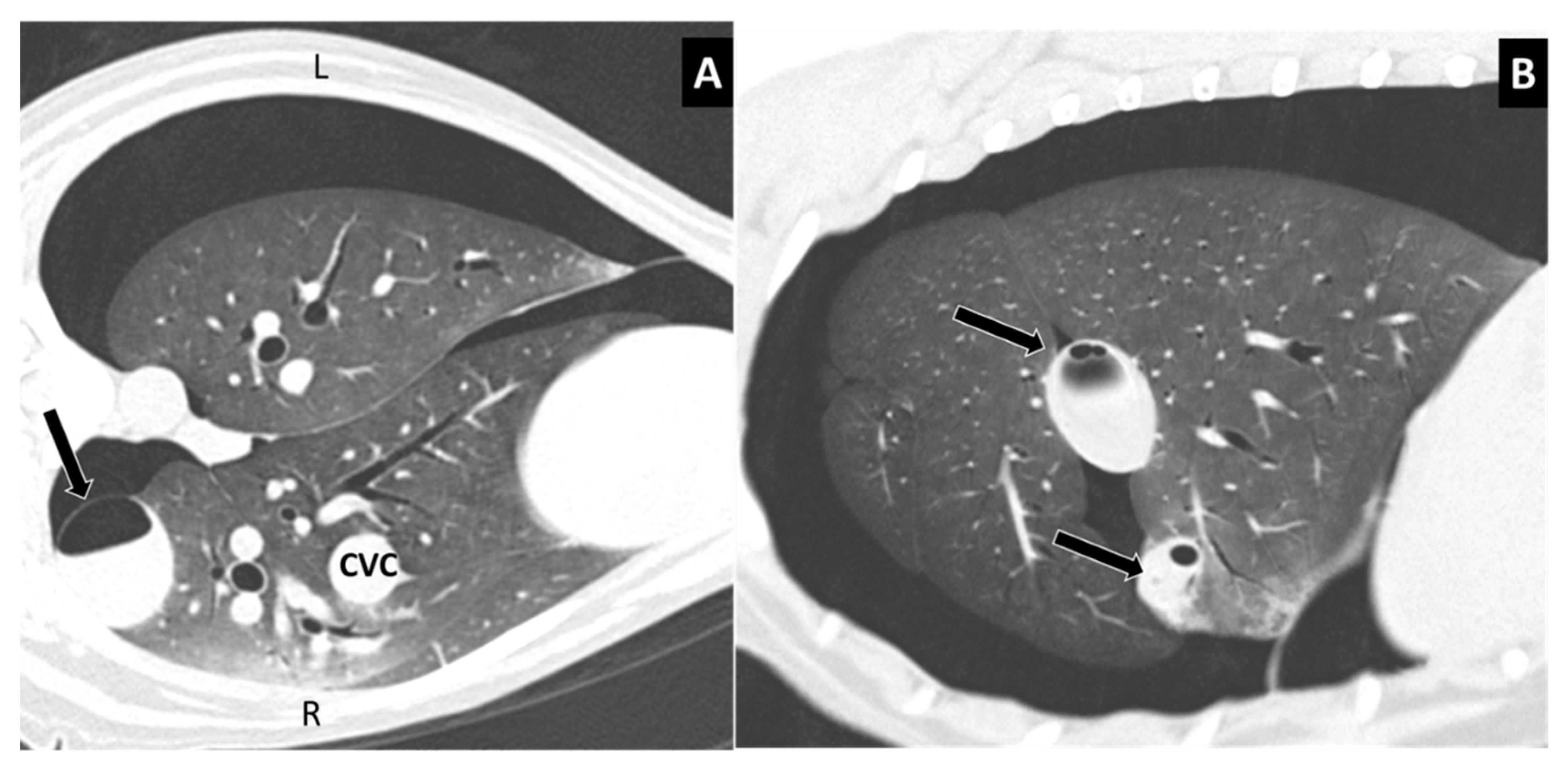 Vetsci 07 00041 g006