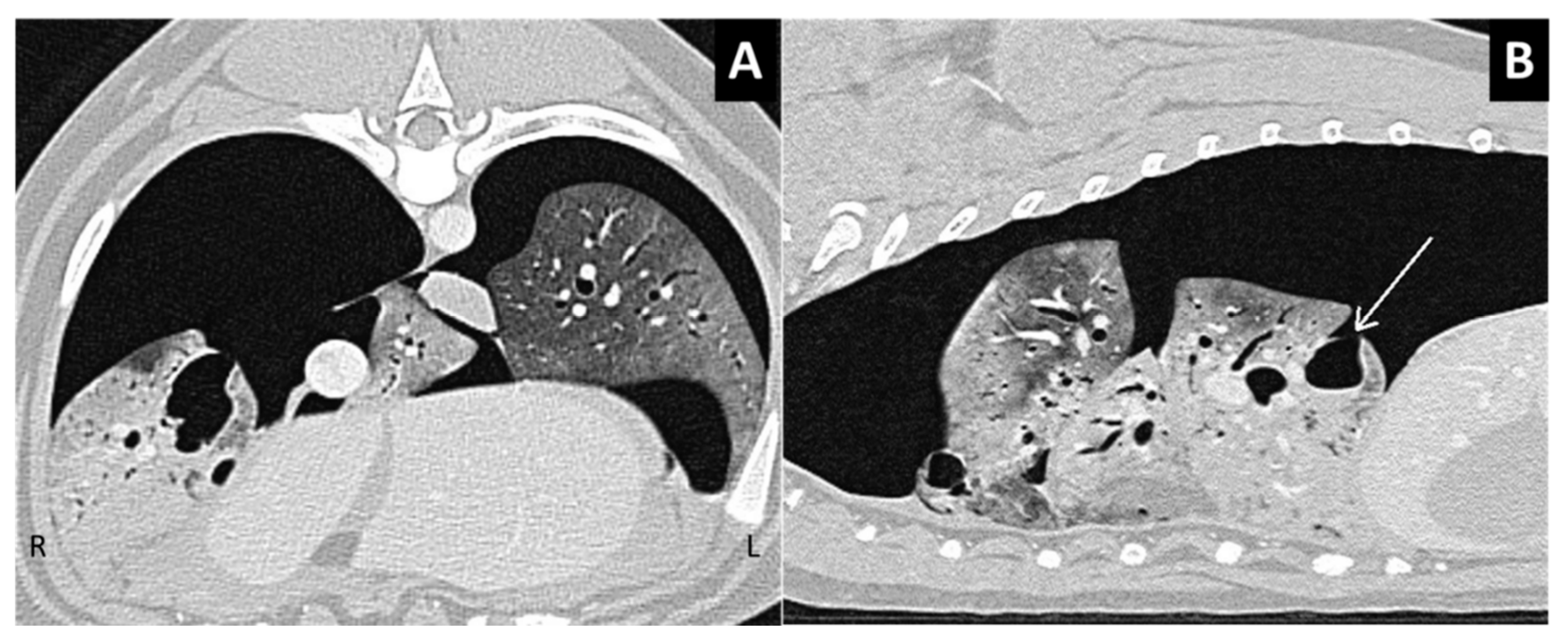 Vetsci 07 00041 g008