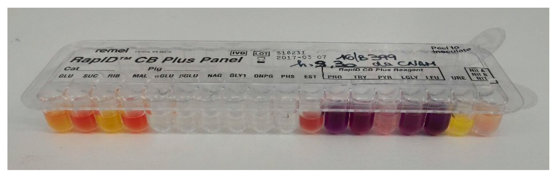 Vetsci 07 00047 g003