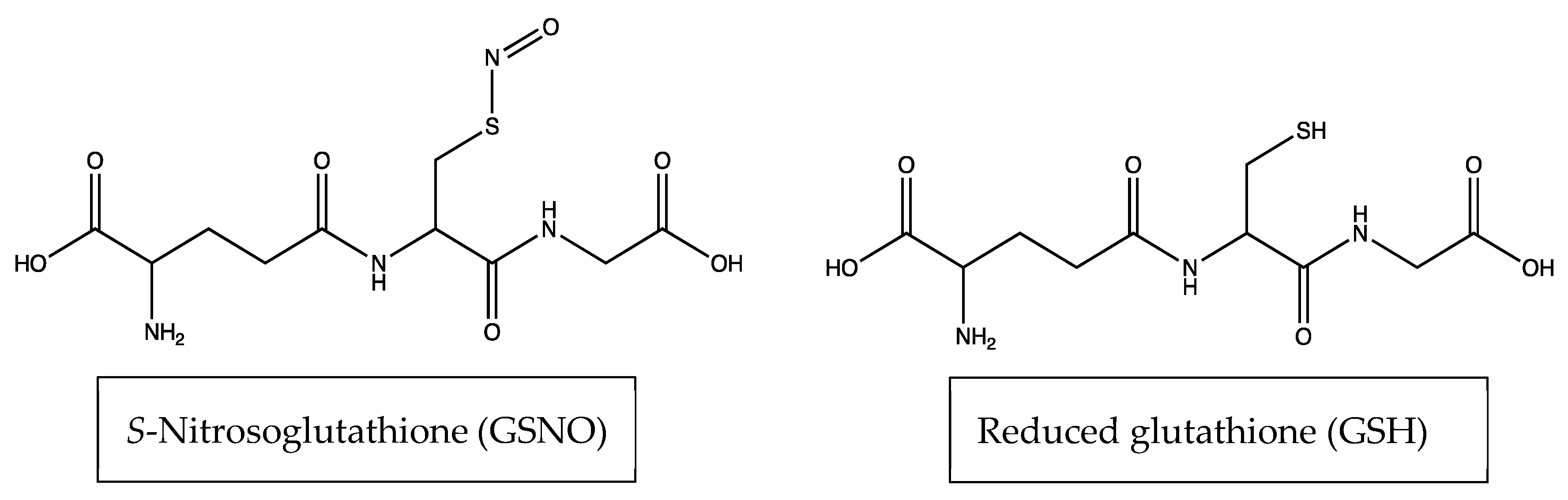 Vetsci 07 00051 g001