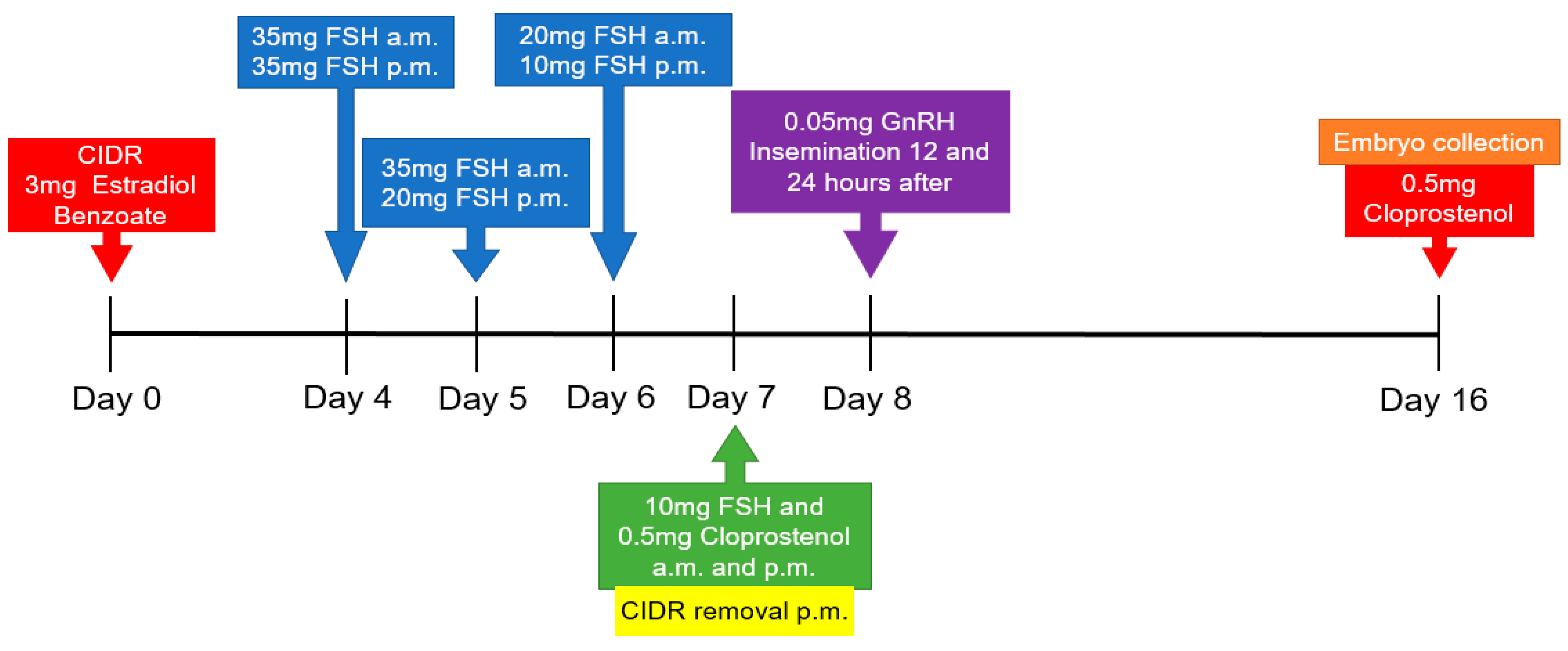 Vetsci 07 00058 g001