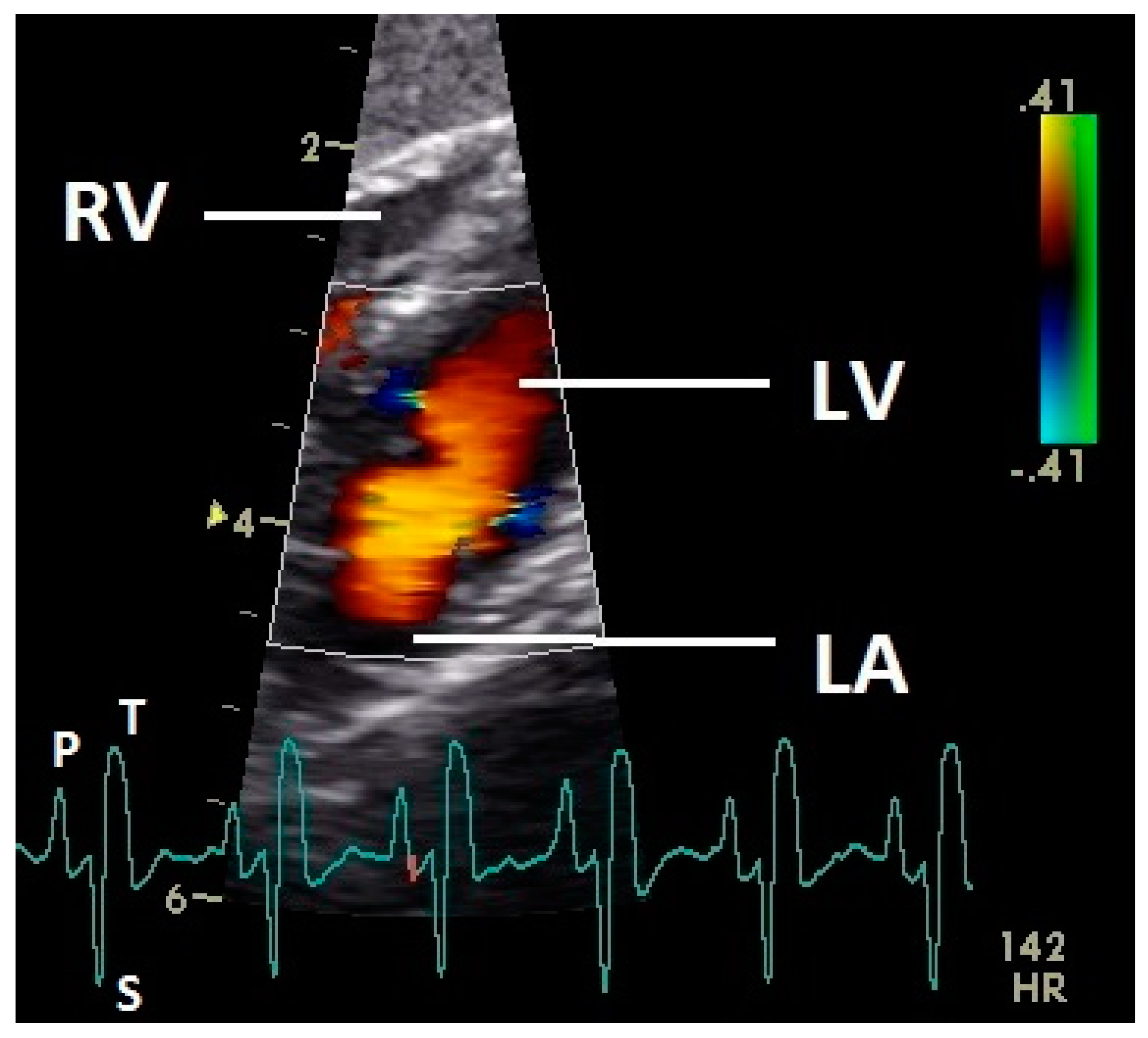 Vetsci 07 00060 g003