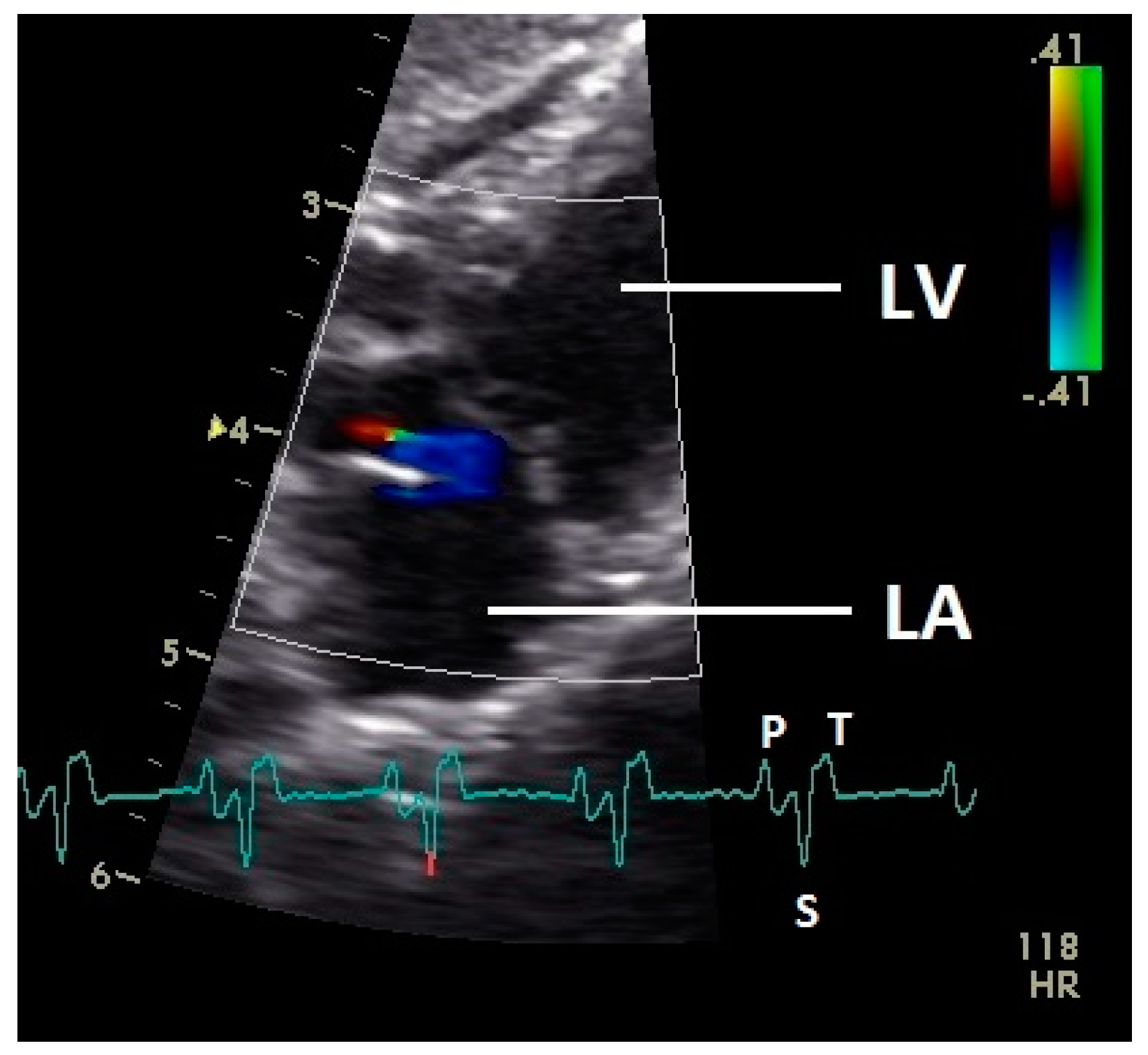 Vetsci 07 00060 g005