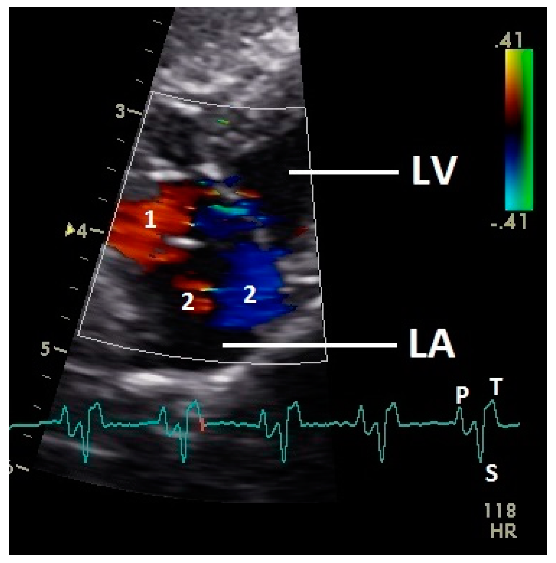 Vetsci 07 00060 g006